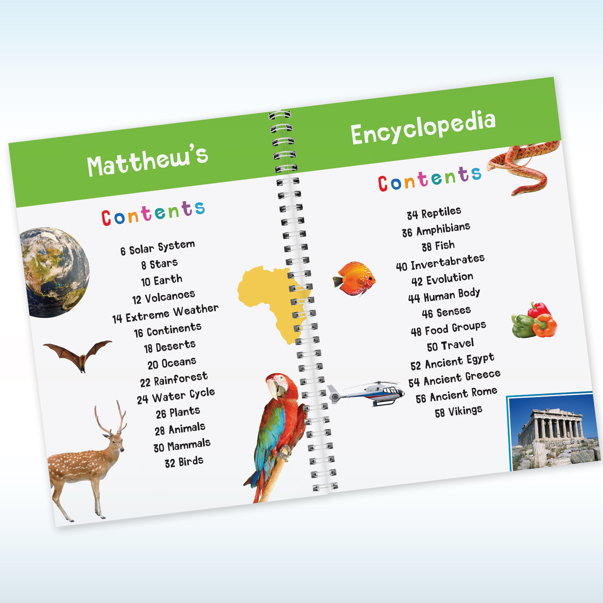 Personalised Childrens Encyclopaedia - image 4