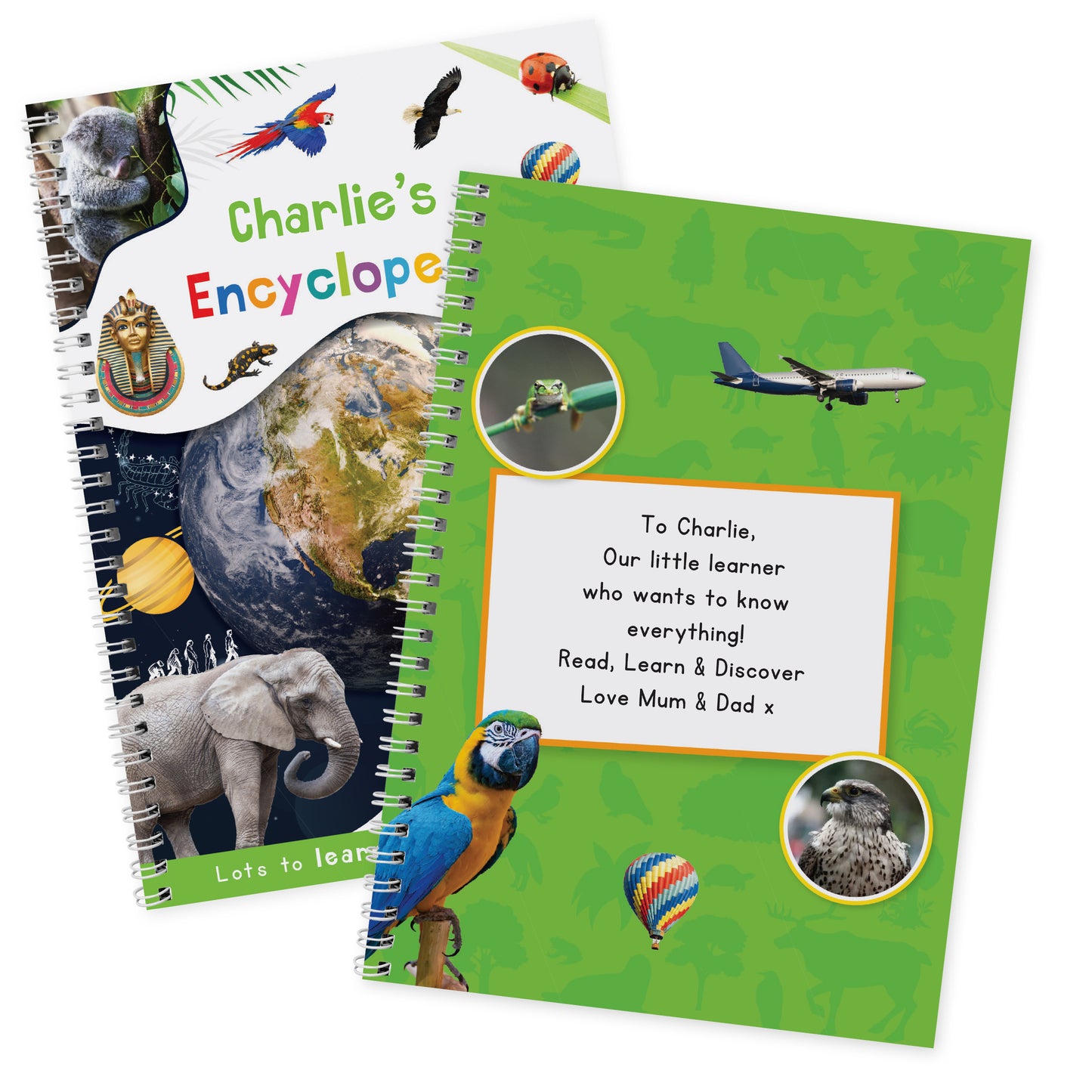 Personalised Childrens Encyclopaedia - image 5