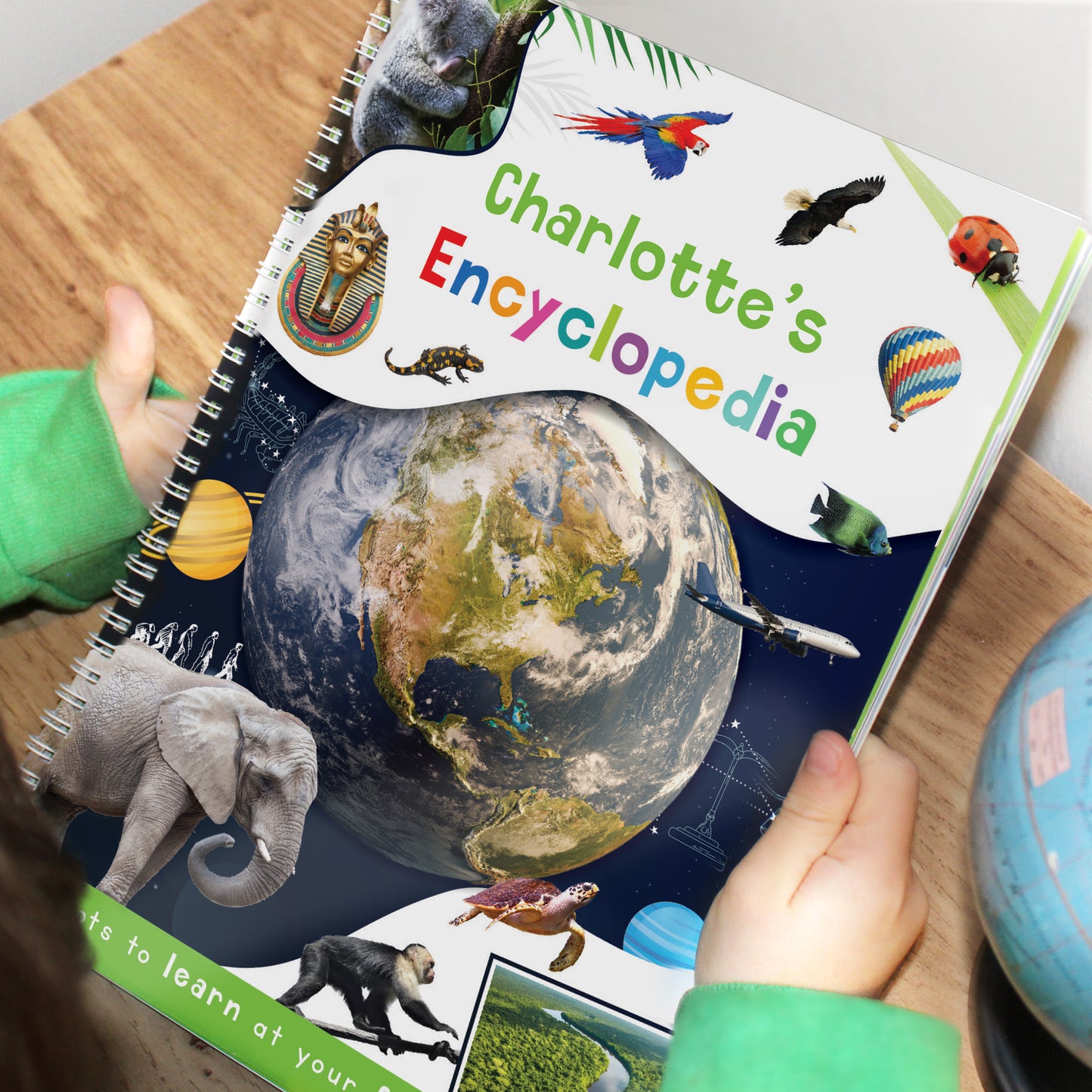 Personalised Childrens Encyclopaedia - image 7