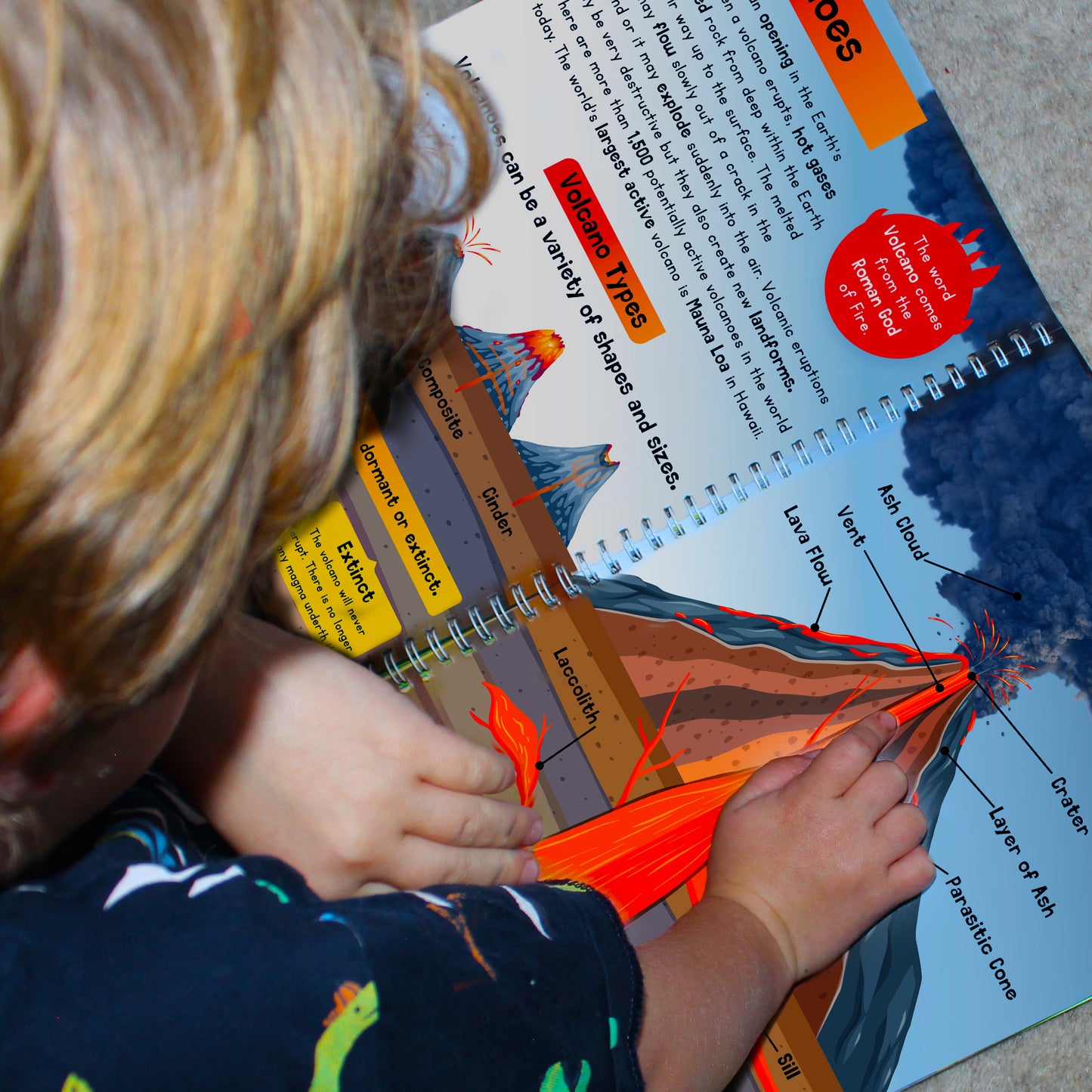 Personalised Childrens Encyclopaedia - image 9
