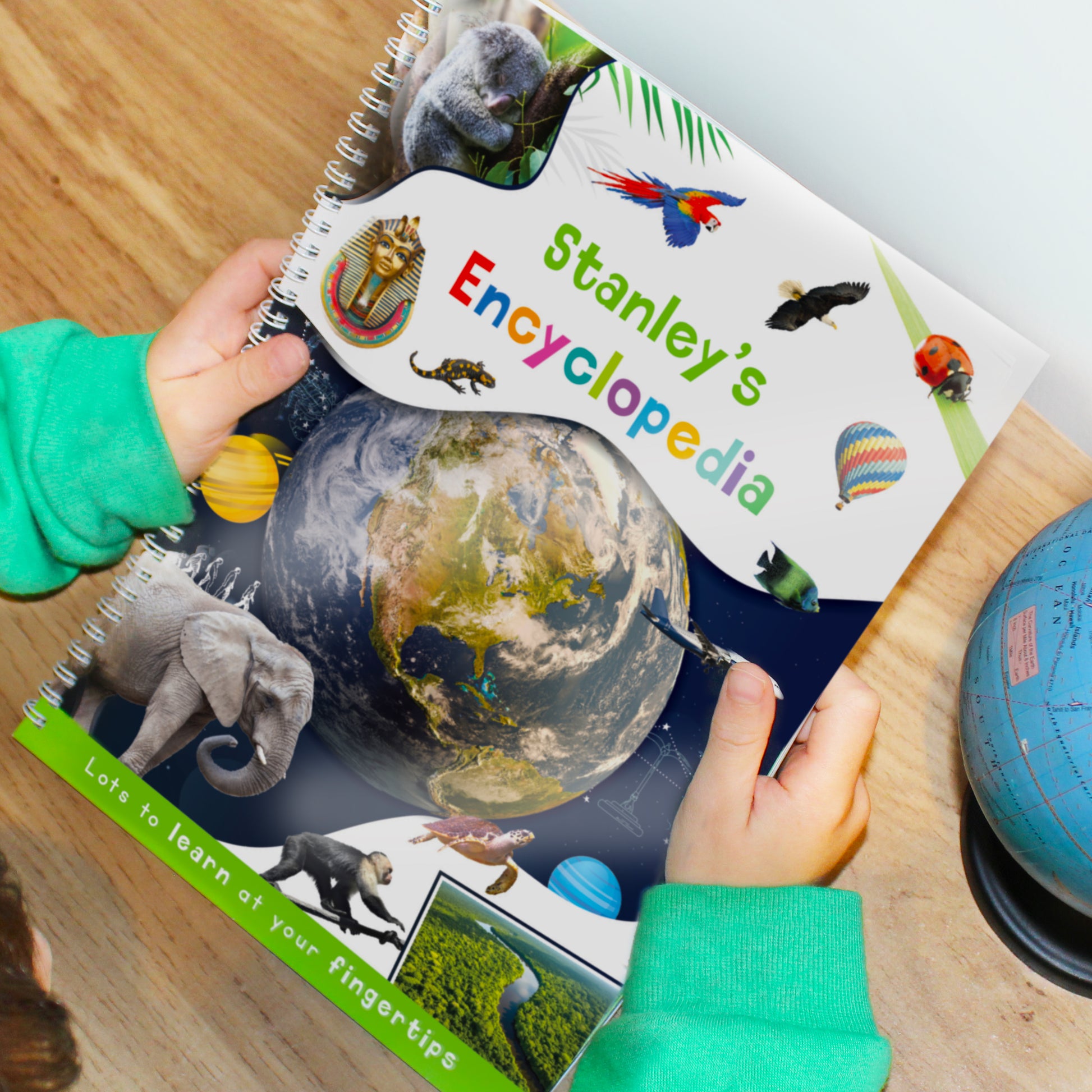 Personalised Childrens Encyclopaedia - image 10