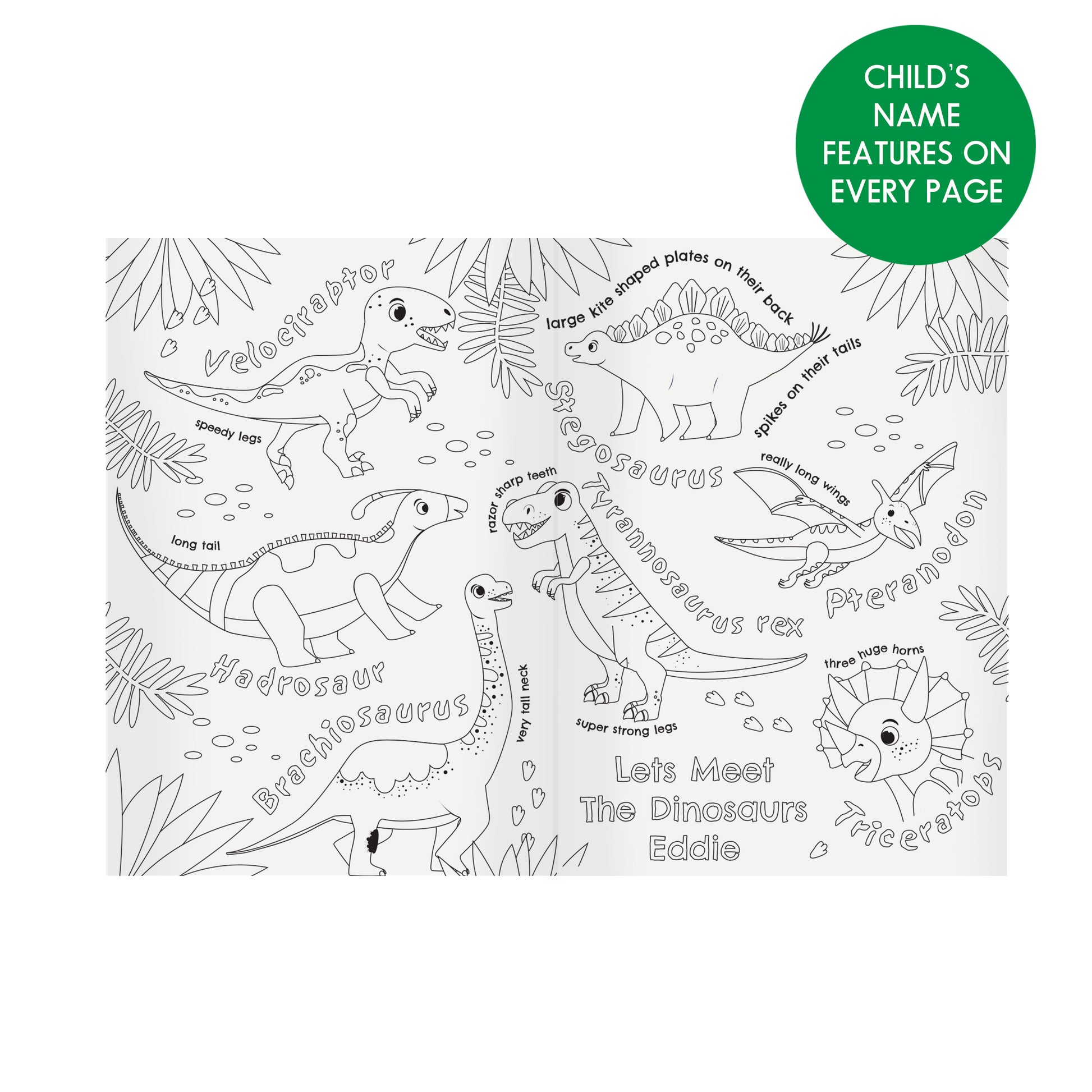 Personalised Dinosaur Colouring Book - image 6