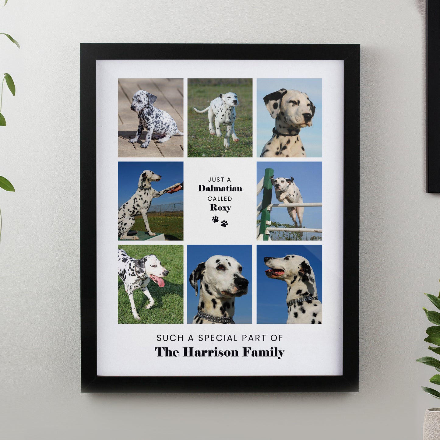 Personalised Pet Multi Photo Upload Black Framed Print from Heartfelt Gifts
