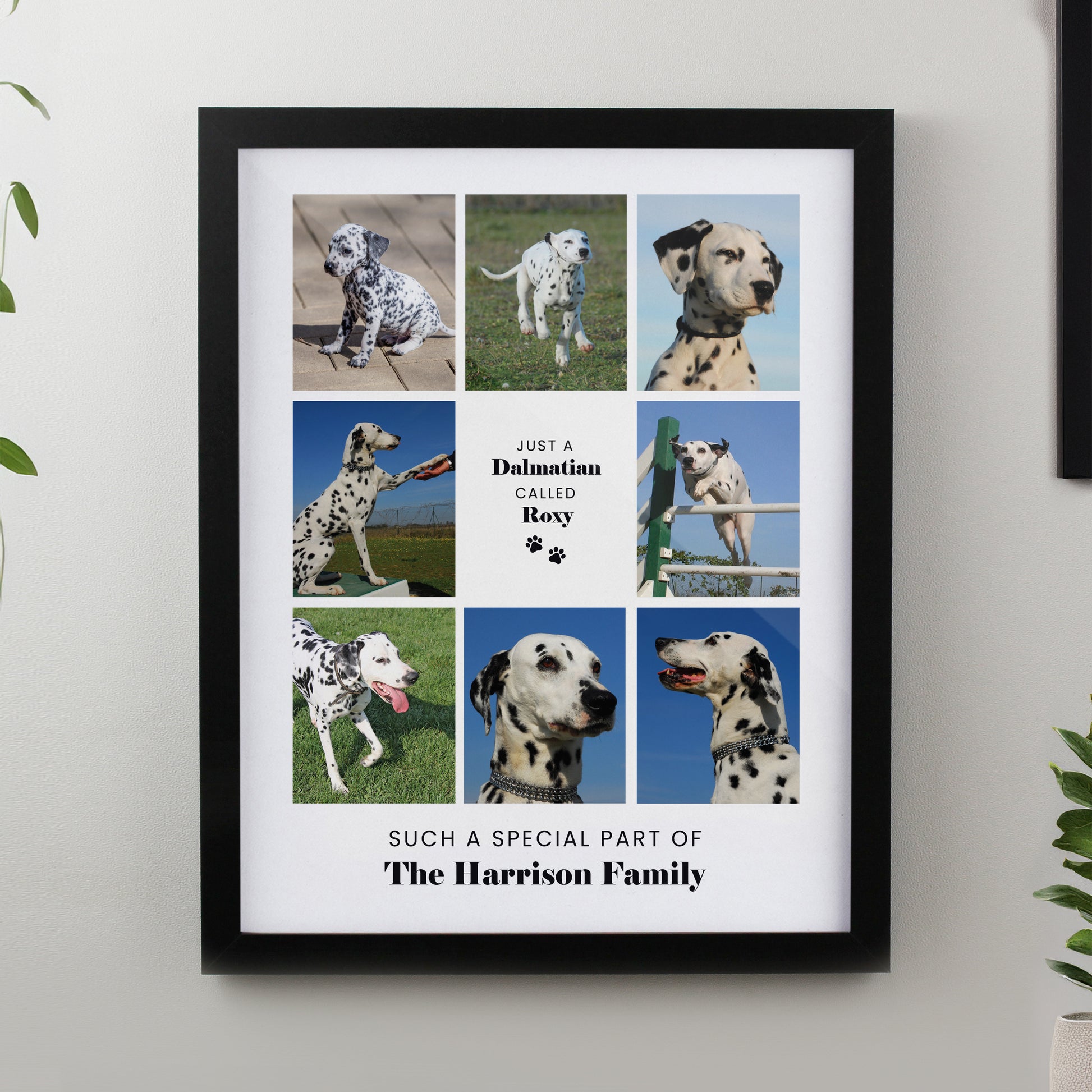 Personalised Pet Multi Photo Upload Black Framed Print from Heartfelt Gifts