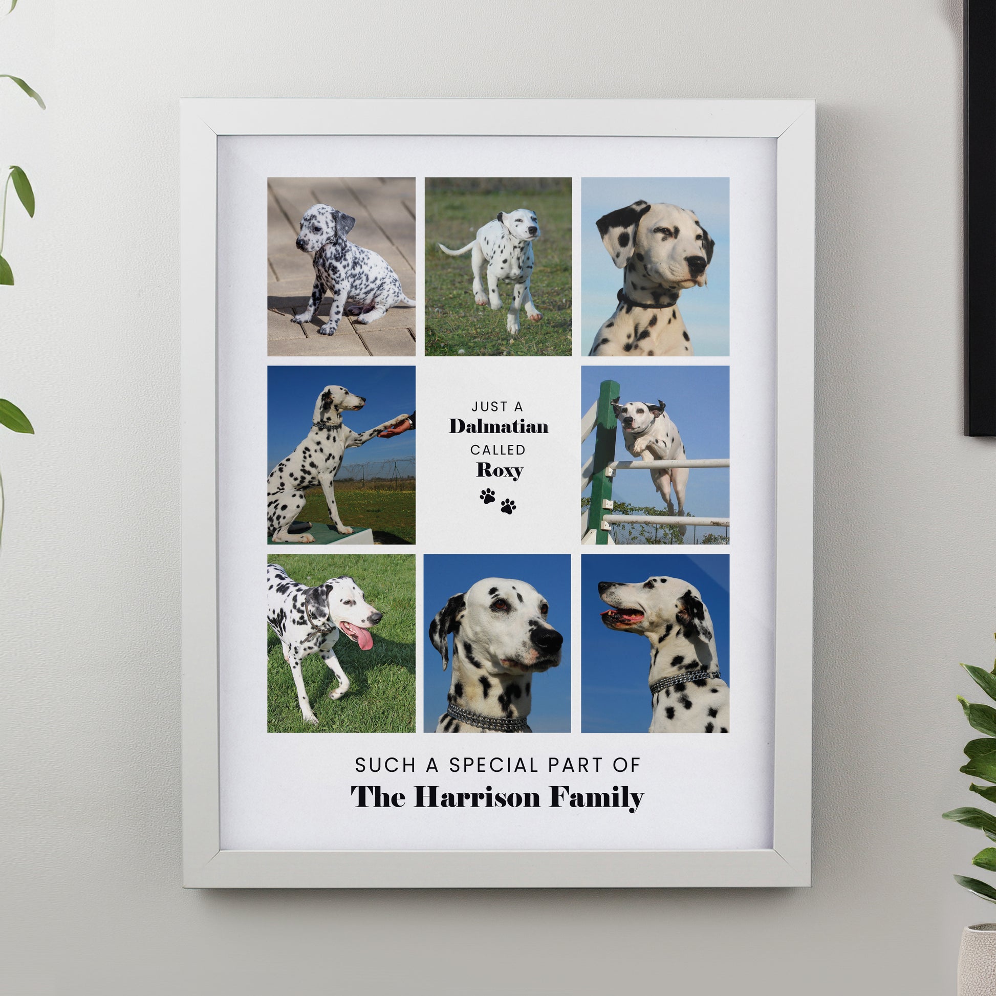 Personalised Pet Multi Photo Upload White Framed Print - image 3