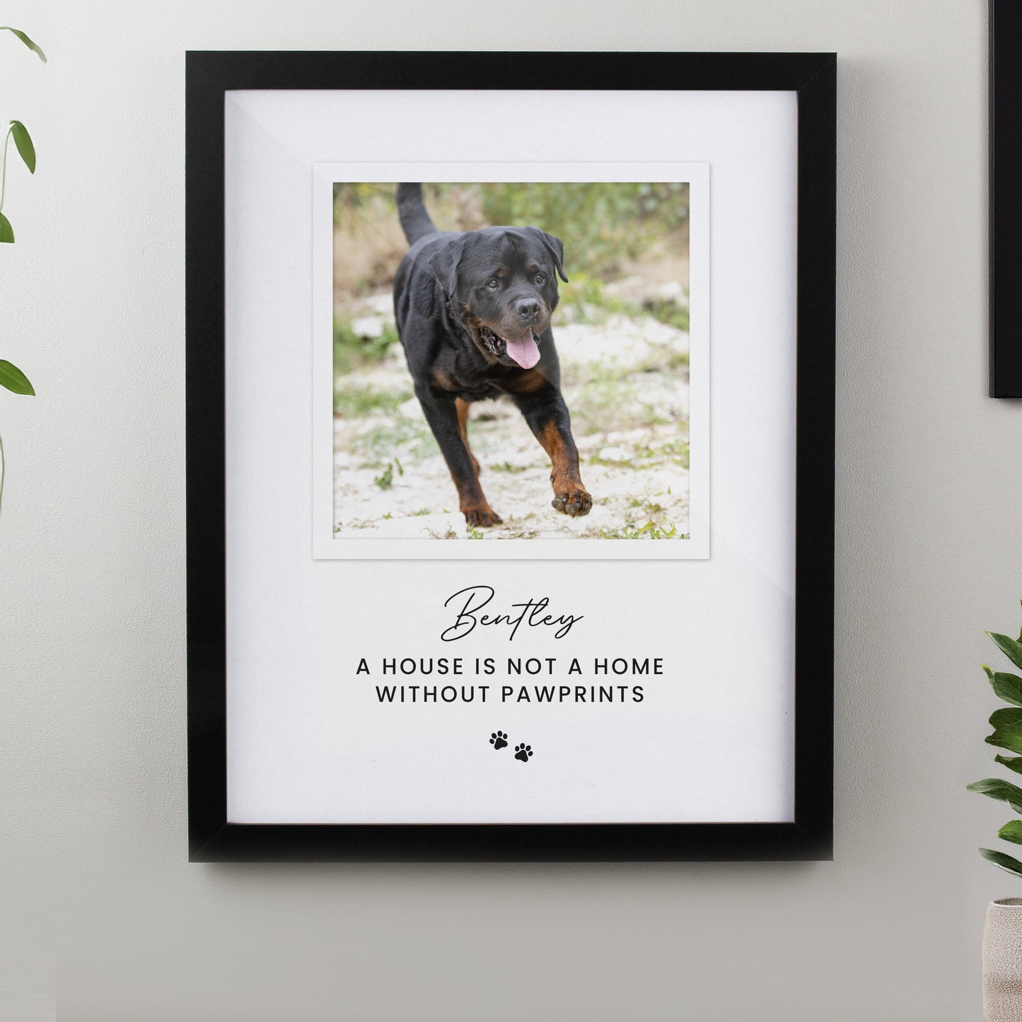 Personalised Pet Photo Upload Black Framed Print - image 3