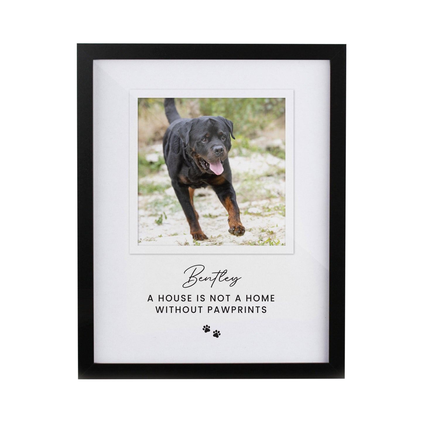 Personalised Pet Photo Upload Black Framed Print - image 4