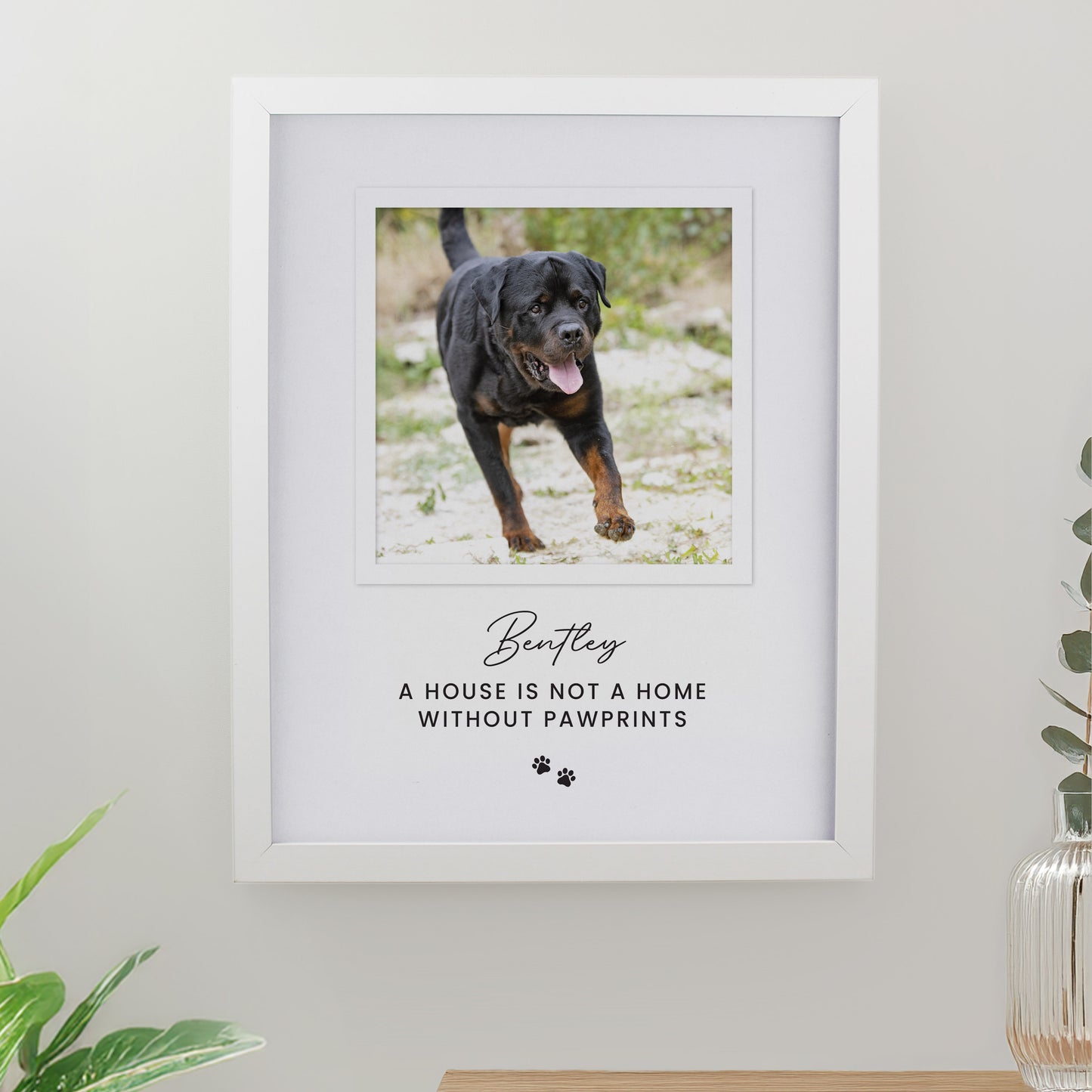 Personalised Pet Photo Upload White Framed Print from Heartfelt Gifts
