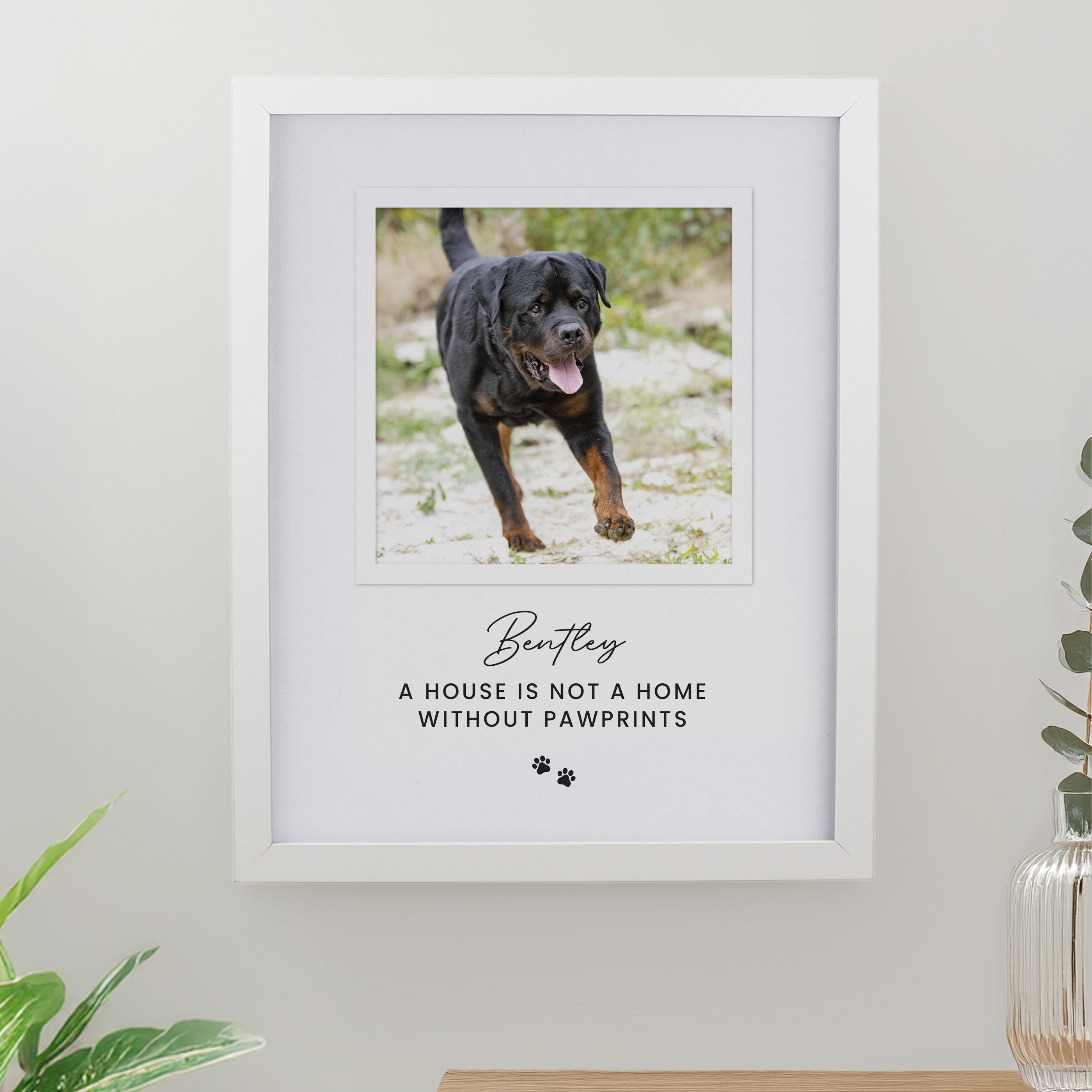 Personalised Pet Photo Upload White Framed Print from Heartfelt Gifts