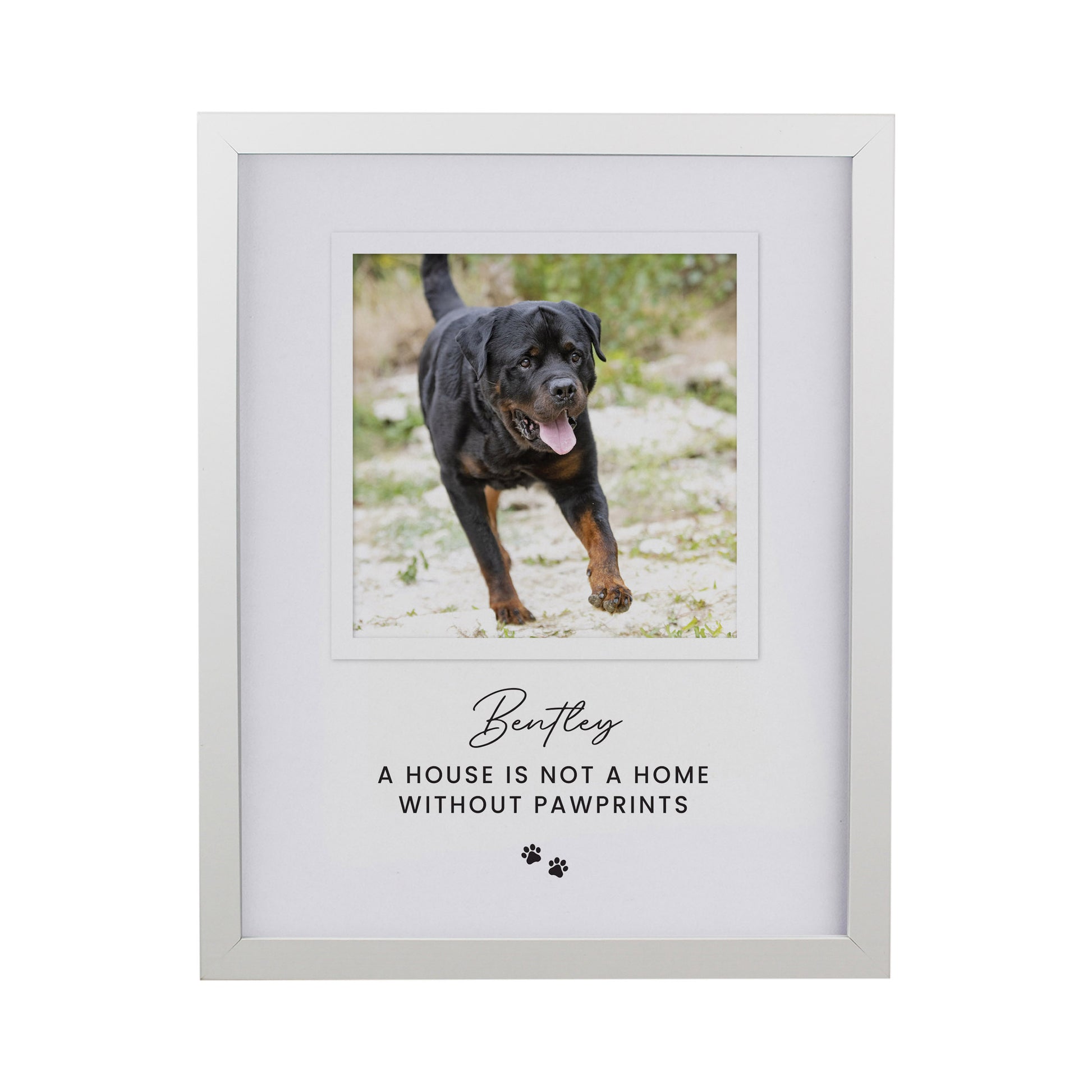 Personalised Pet Photo Upload White Framed Print - image 4