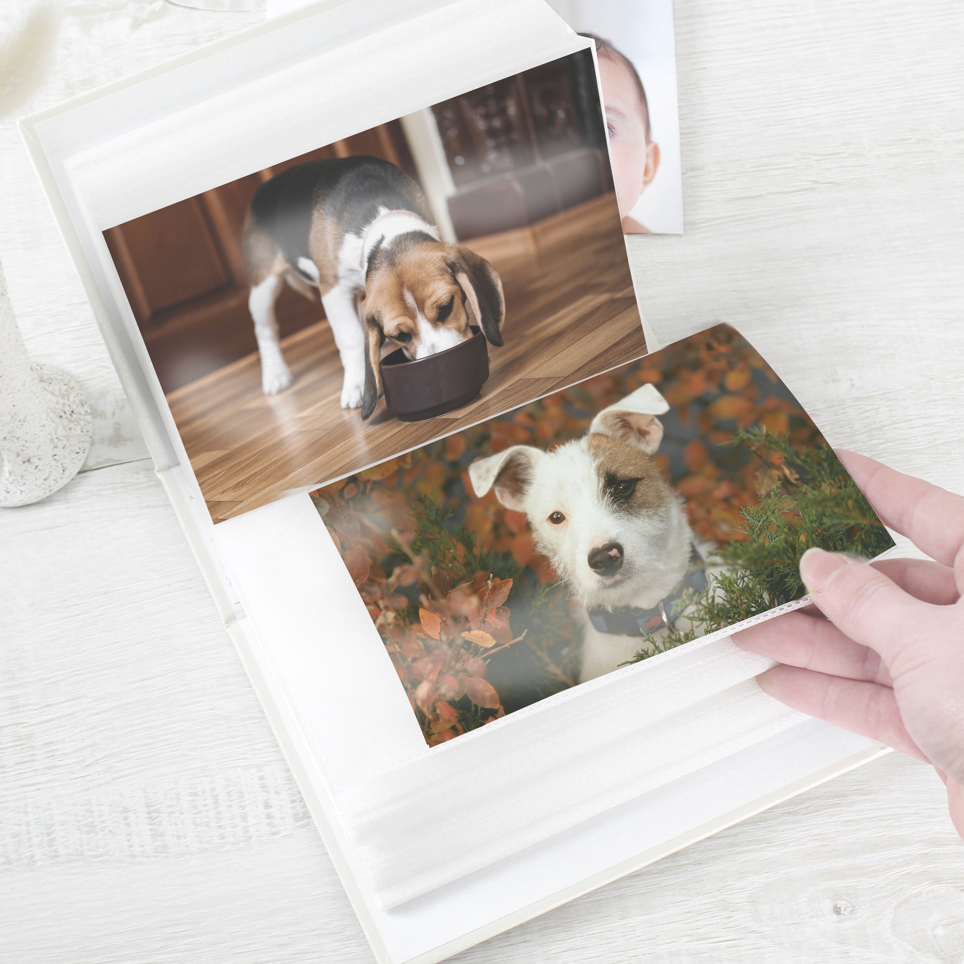 Personalised Dogs 6x4 Photo Album with Sleeves - image 7