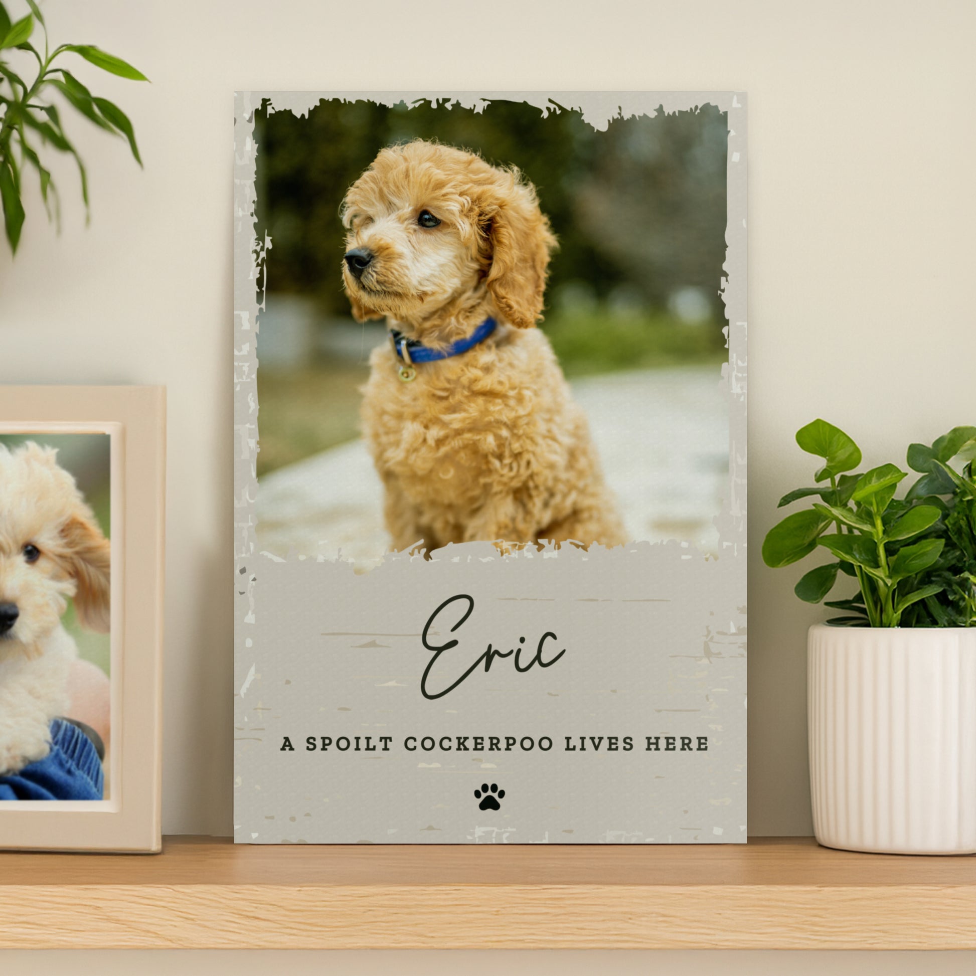 Personalised Photo Upload Pet Aluminium Sign – Dog Cat Pet Owner Gift
