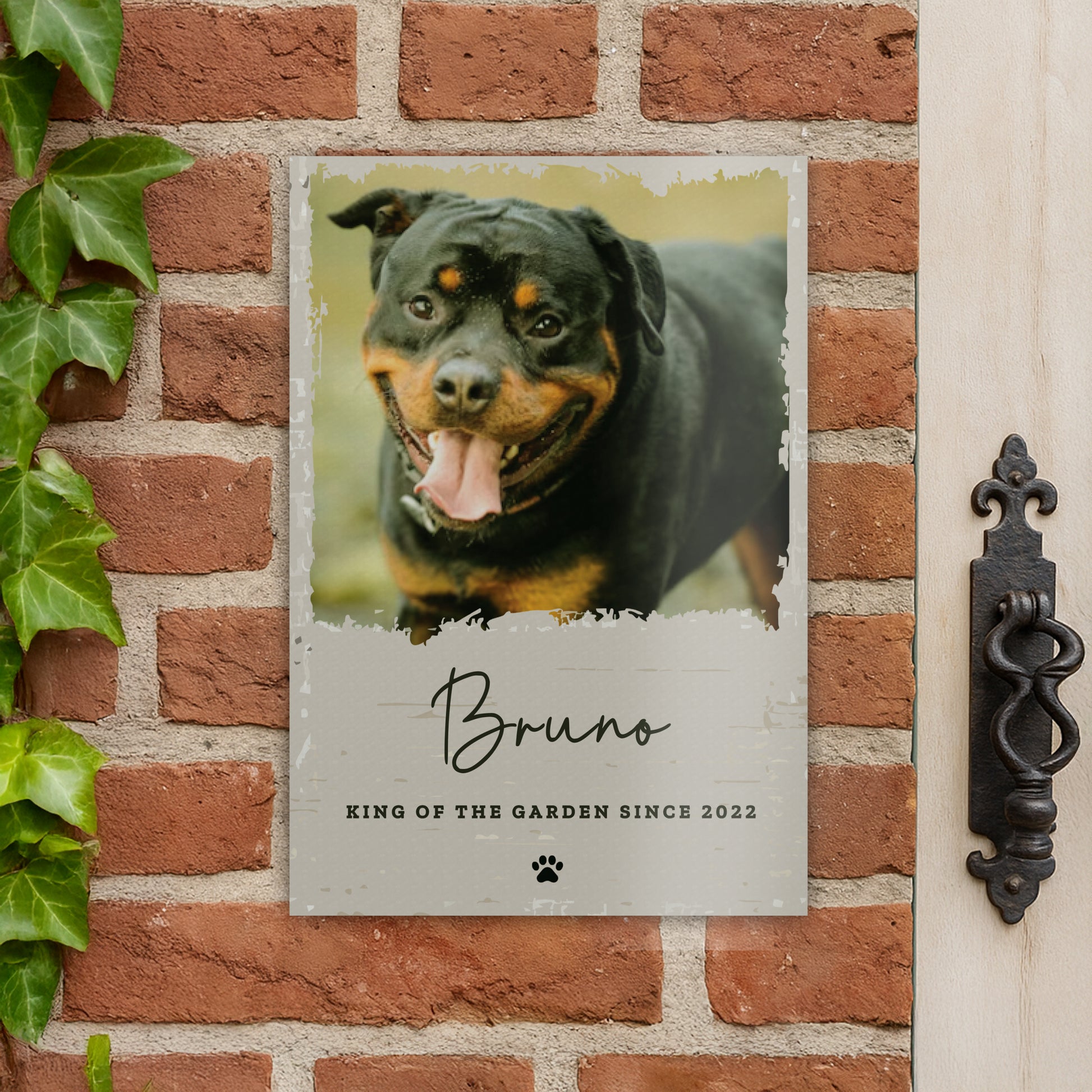 Personalised Photo Upload Pet Aluminium Sign – Dog Cat Pet Owner Gift - image 3