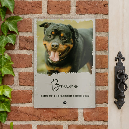 Personalised Photo Upload Pet Aluminium Sign – Dog Cat Pet Owner Gift - image 3