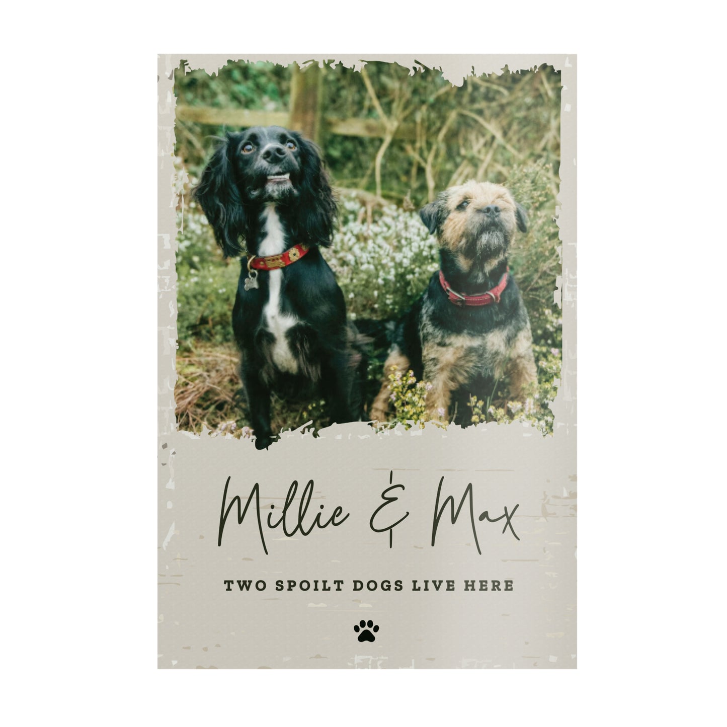 Personalised Photo Upload Pet Aluminium Sign – Dog Cat Pet Owner Gift - image 4