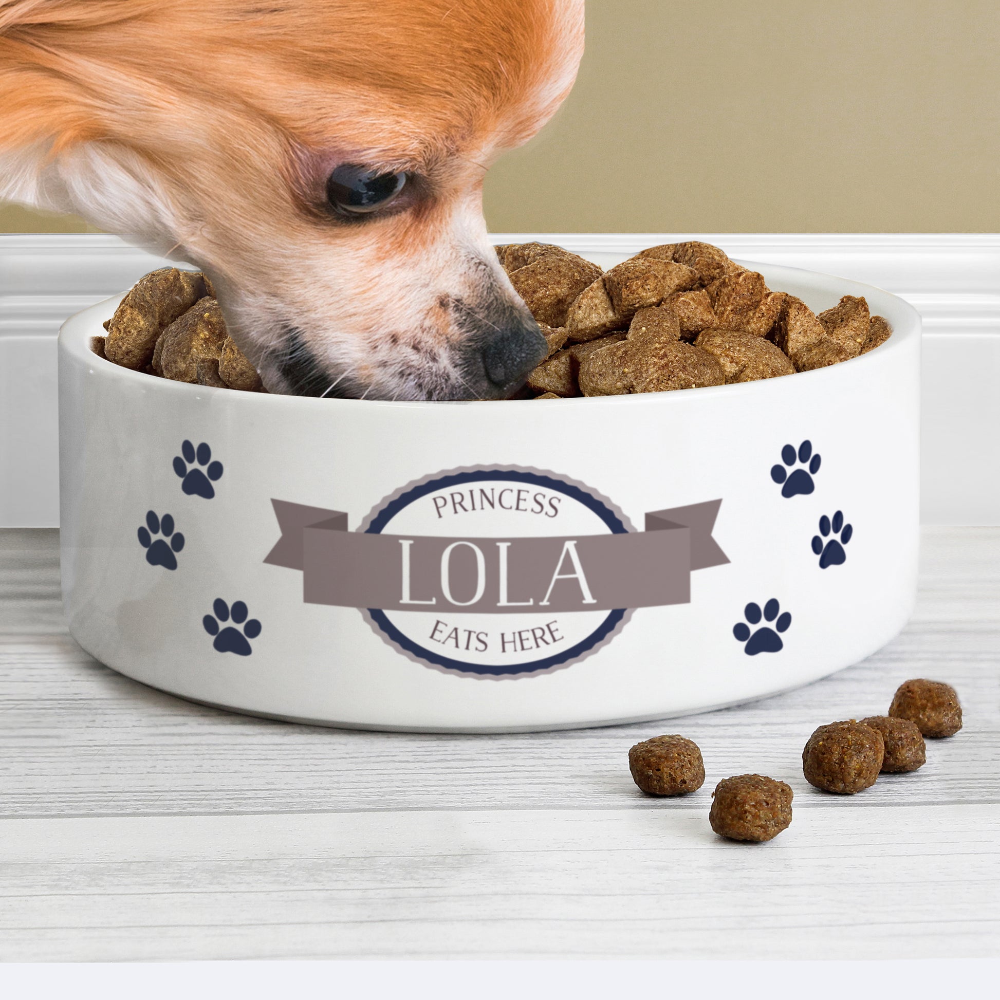 Personalised Blue Paws 15cm Medium White Pet Bowl - image 4