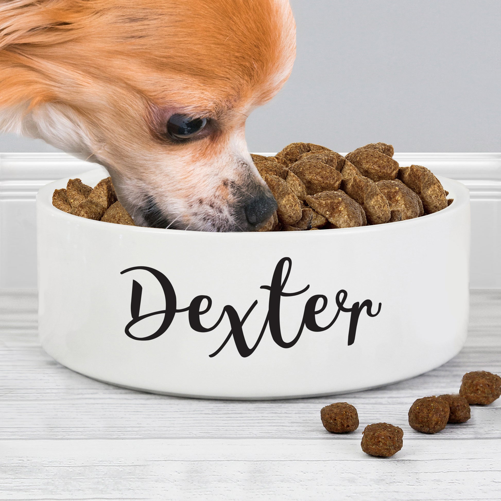 Personalised Any Name 15cm Medium White Pet Bowl - image 4