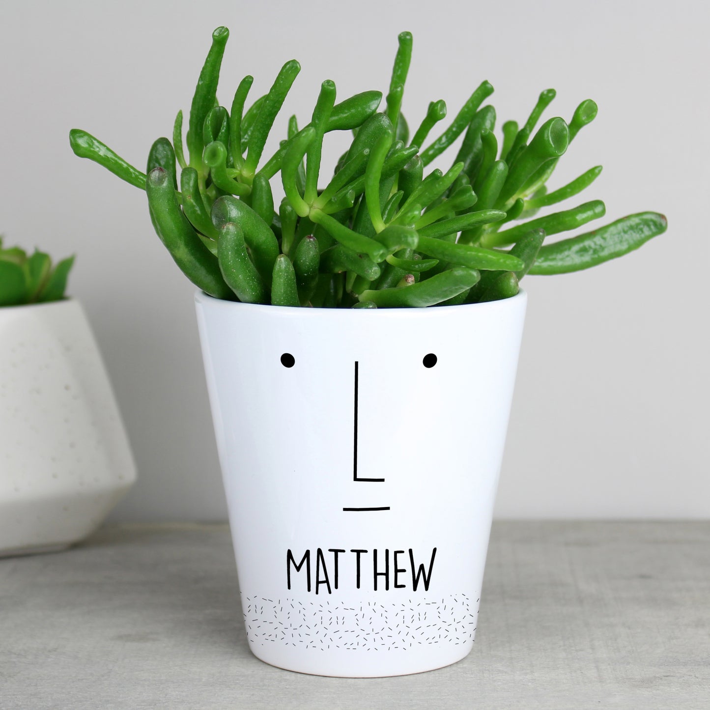 Personalised 'Mr Face' Plant Pot from Heartfelt Gifts
