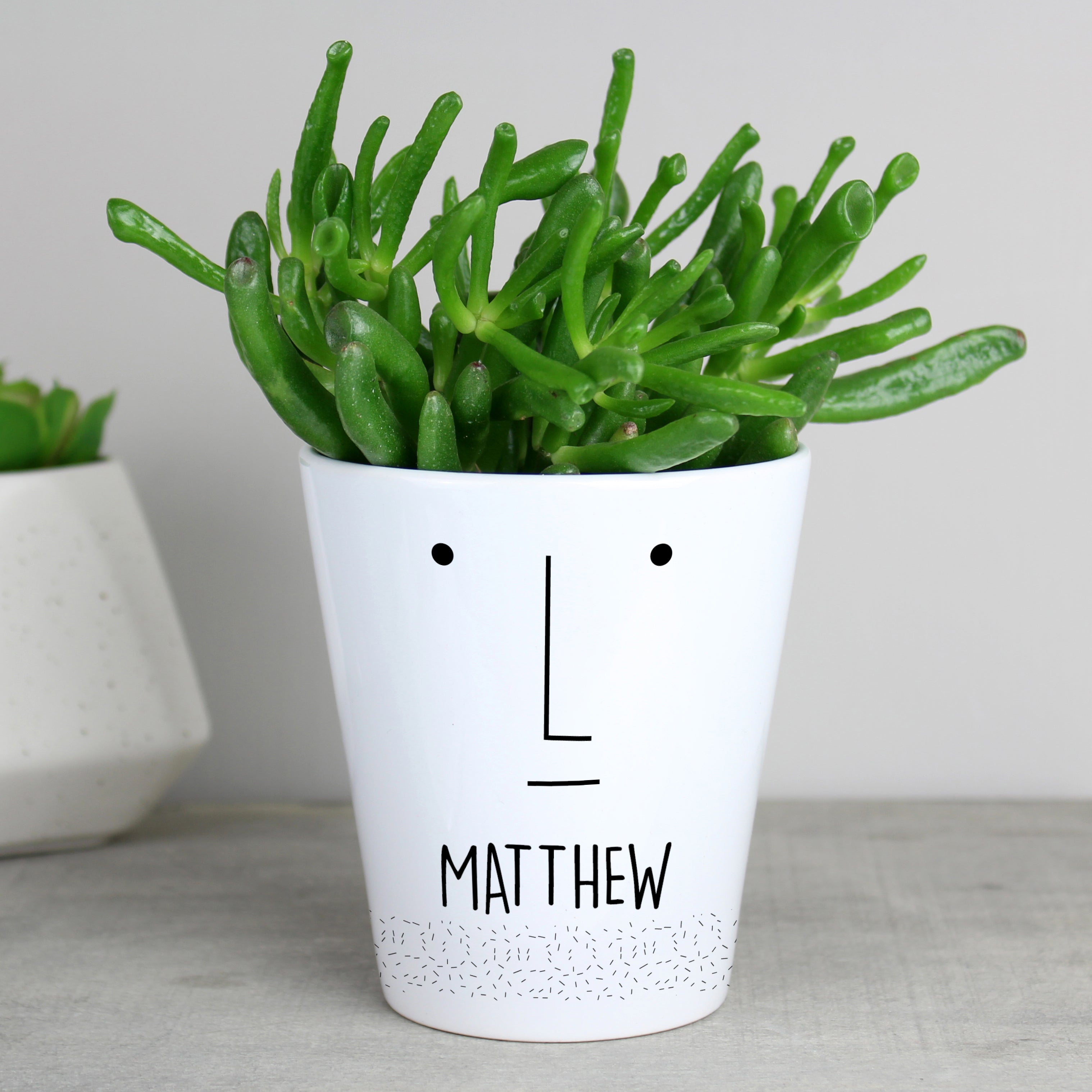 Personalised 'Mr Face' Plant Pot from Heartfelt Gifts