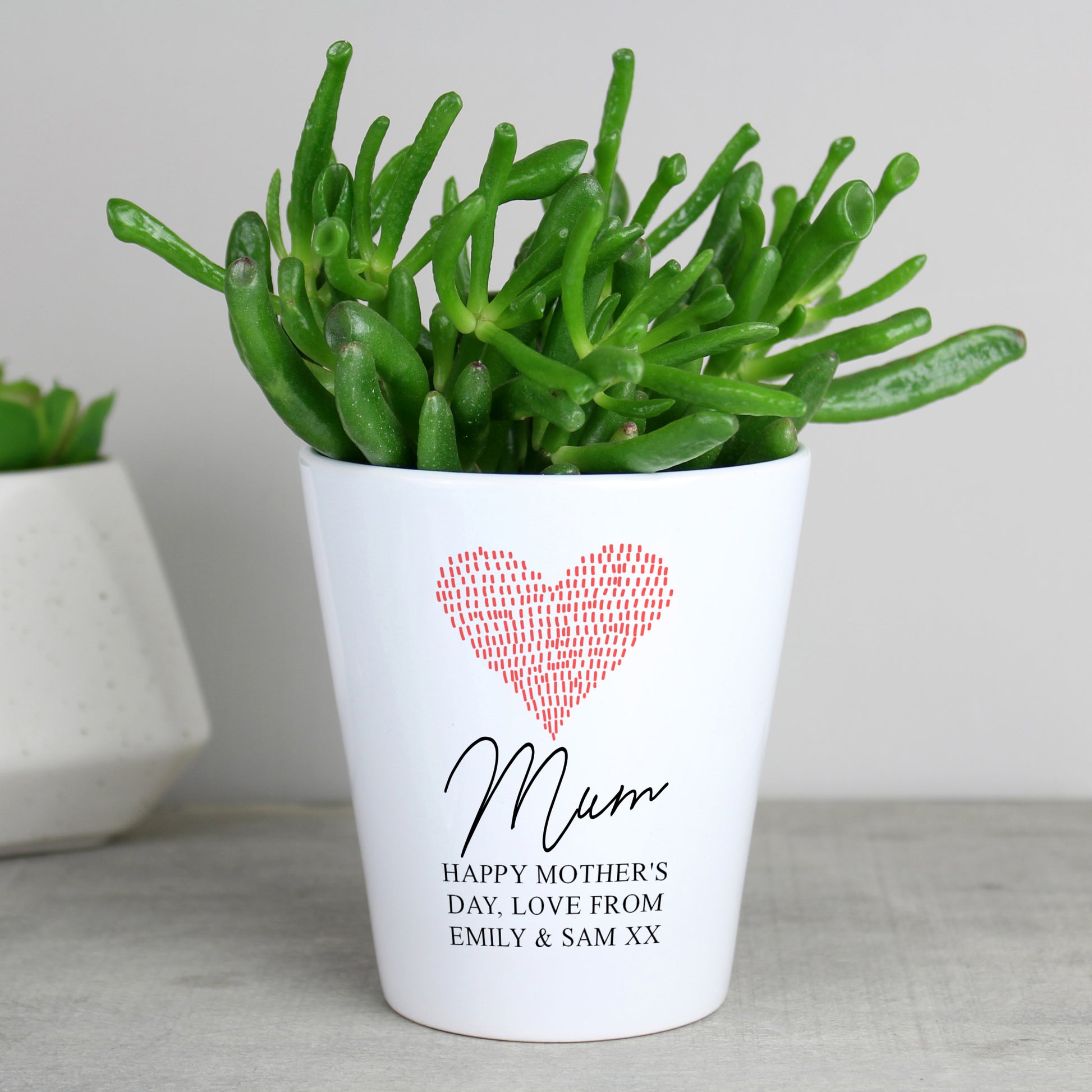 Personalised Heart Plant Pot from Heartfelt Gifts
