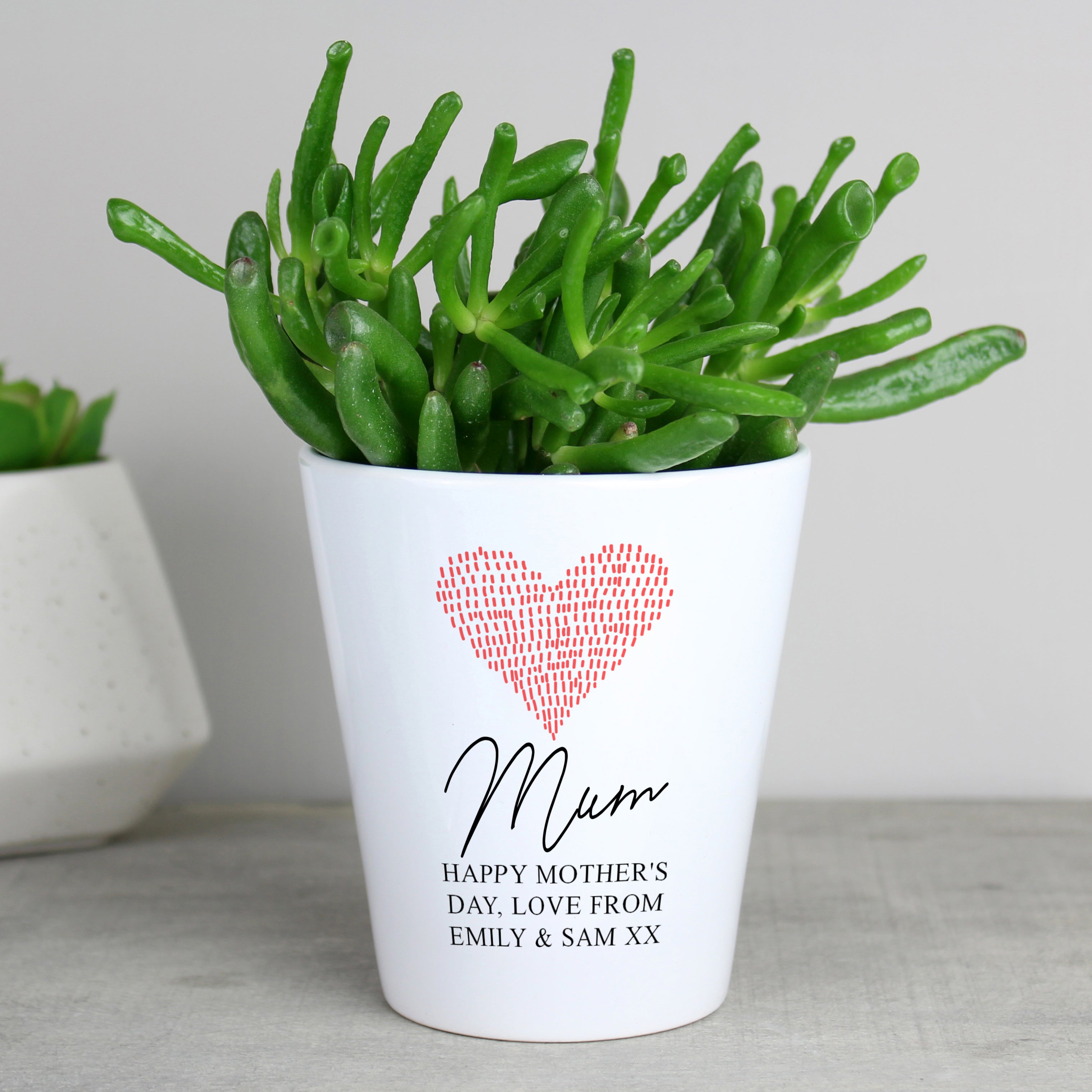 Personalised Heart Plant Pot from Heartfelt Gifts