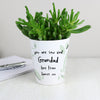 Personalised Free Text Botanical Plant Pot
