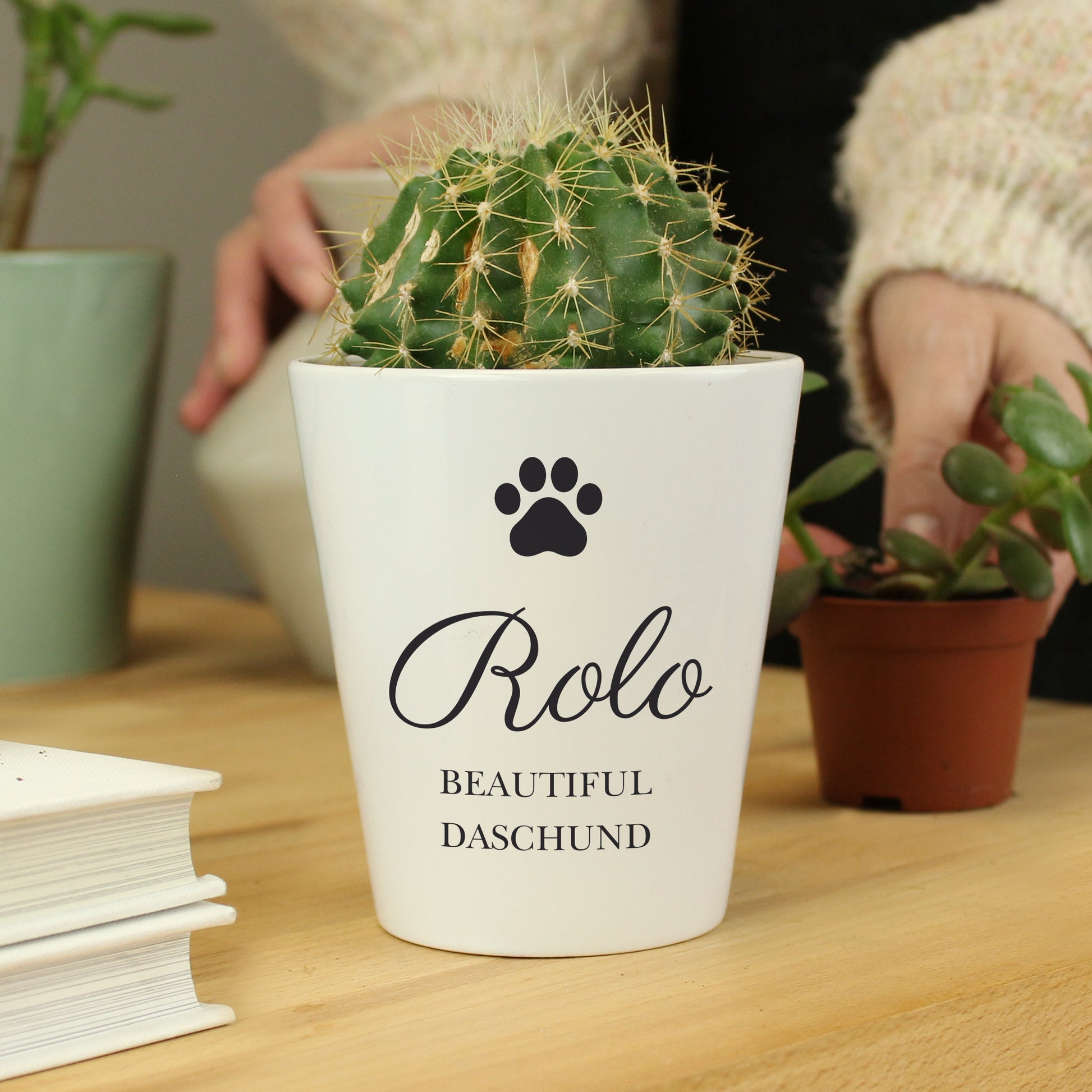 Personalised Paw Print Plant Pot from Heartfelt Gifts