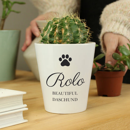 Personalised Paw Print Plant Pot from Heartfelt Gifts