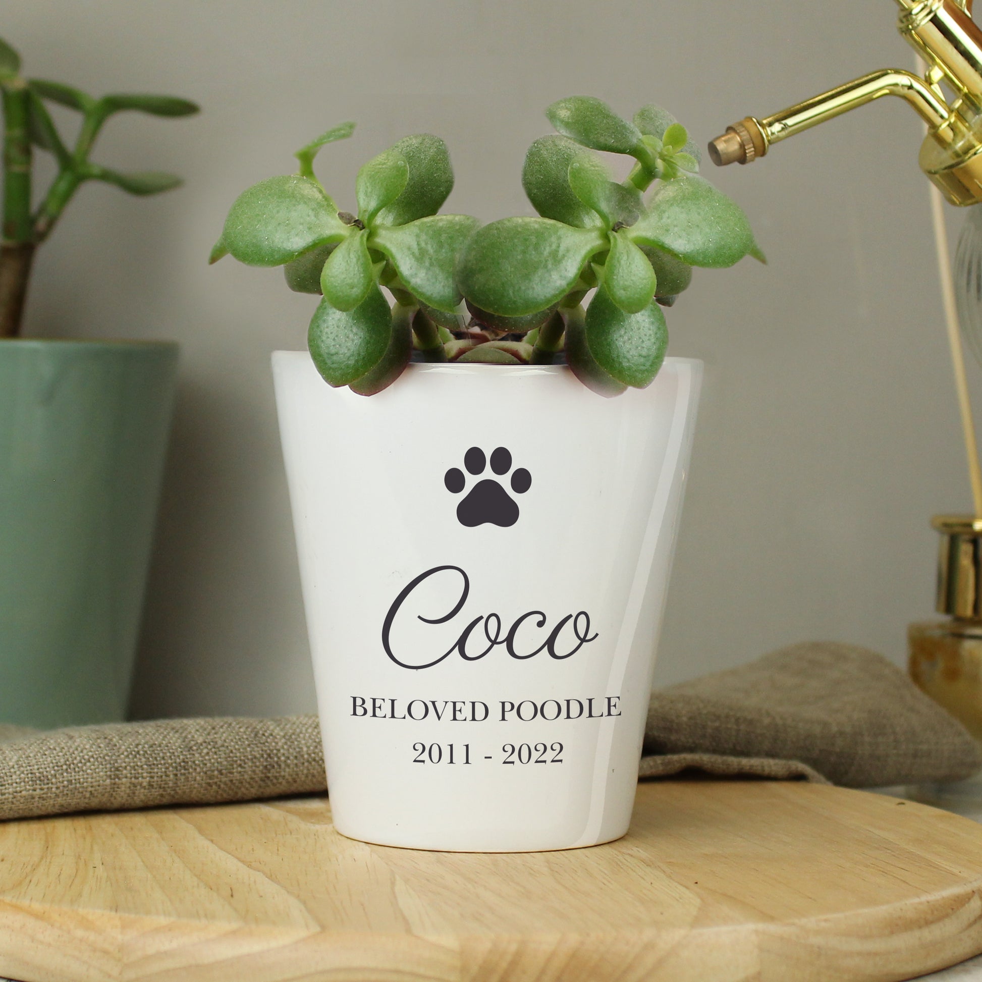 Personalised Paw Print Plant Pot - image 2