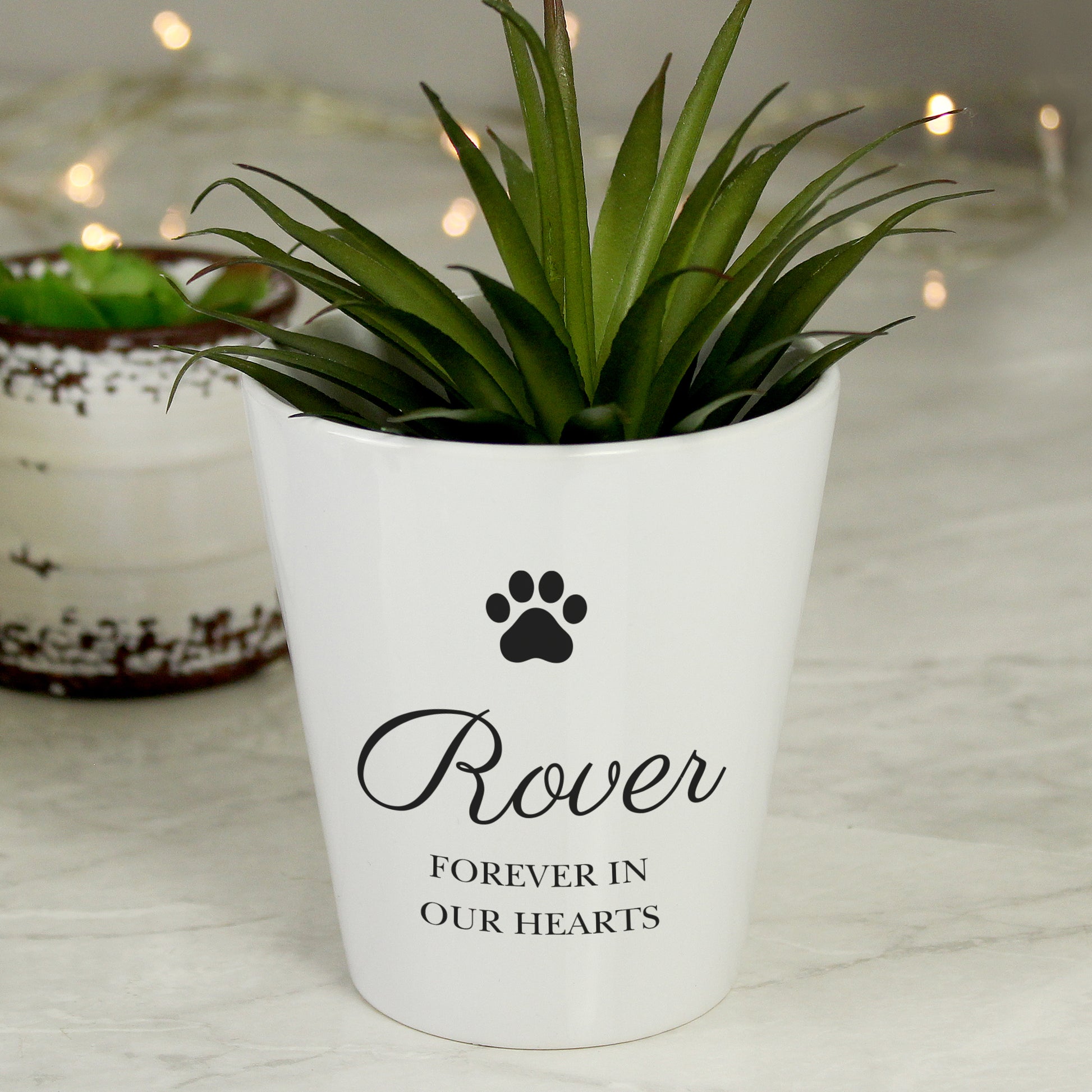 Personalised Paw Print Plant Pot - image 3