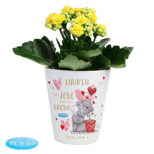 Personalised Me To You Love Grows Plant Pot - image 4
