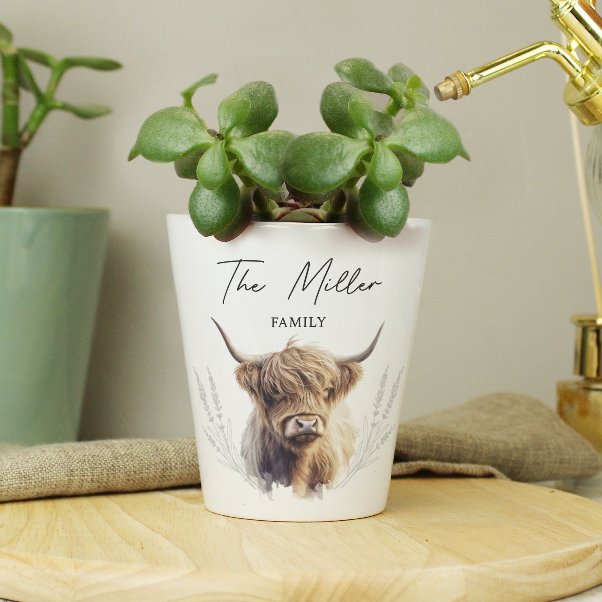 Personalised Highland Cow Plant Pot - image 4