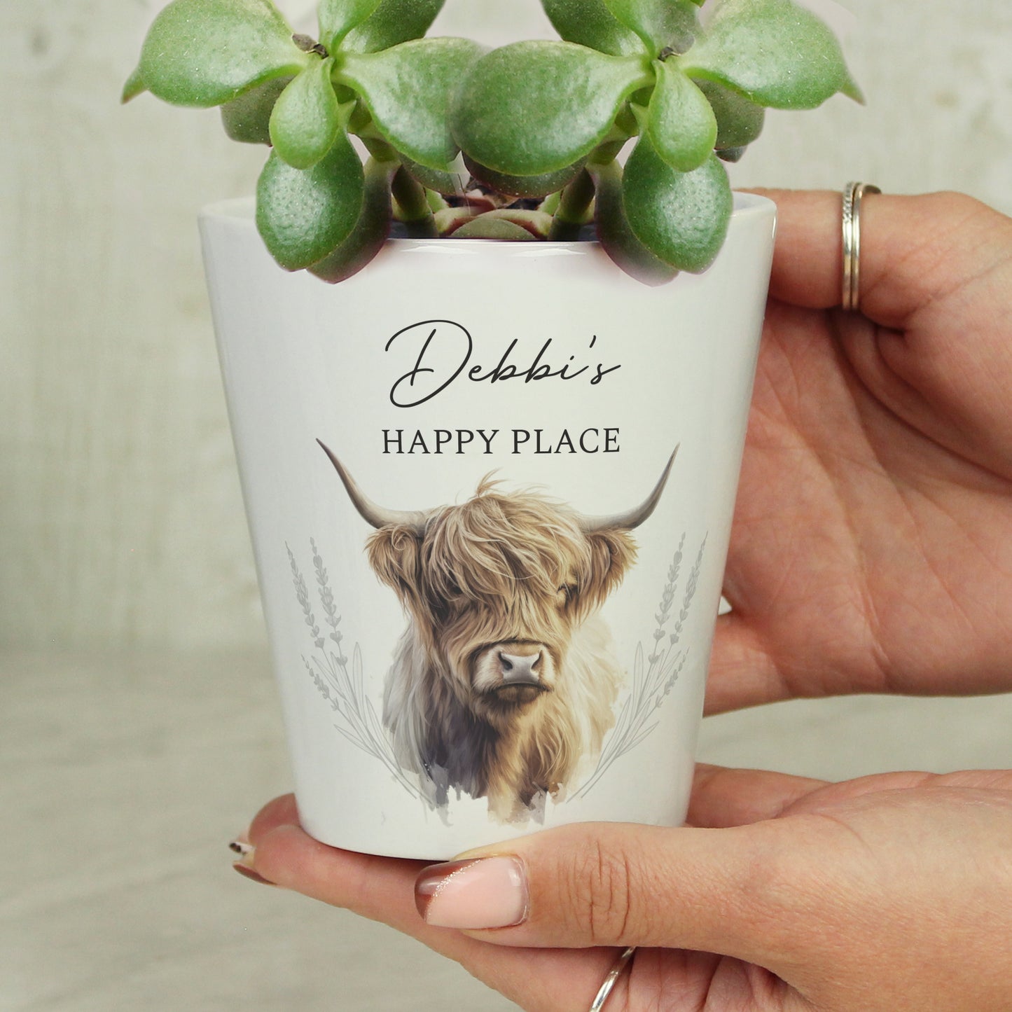 Personalised Highland Cow Plant Pot - image 6