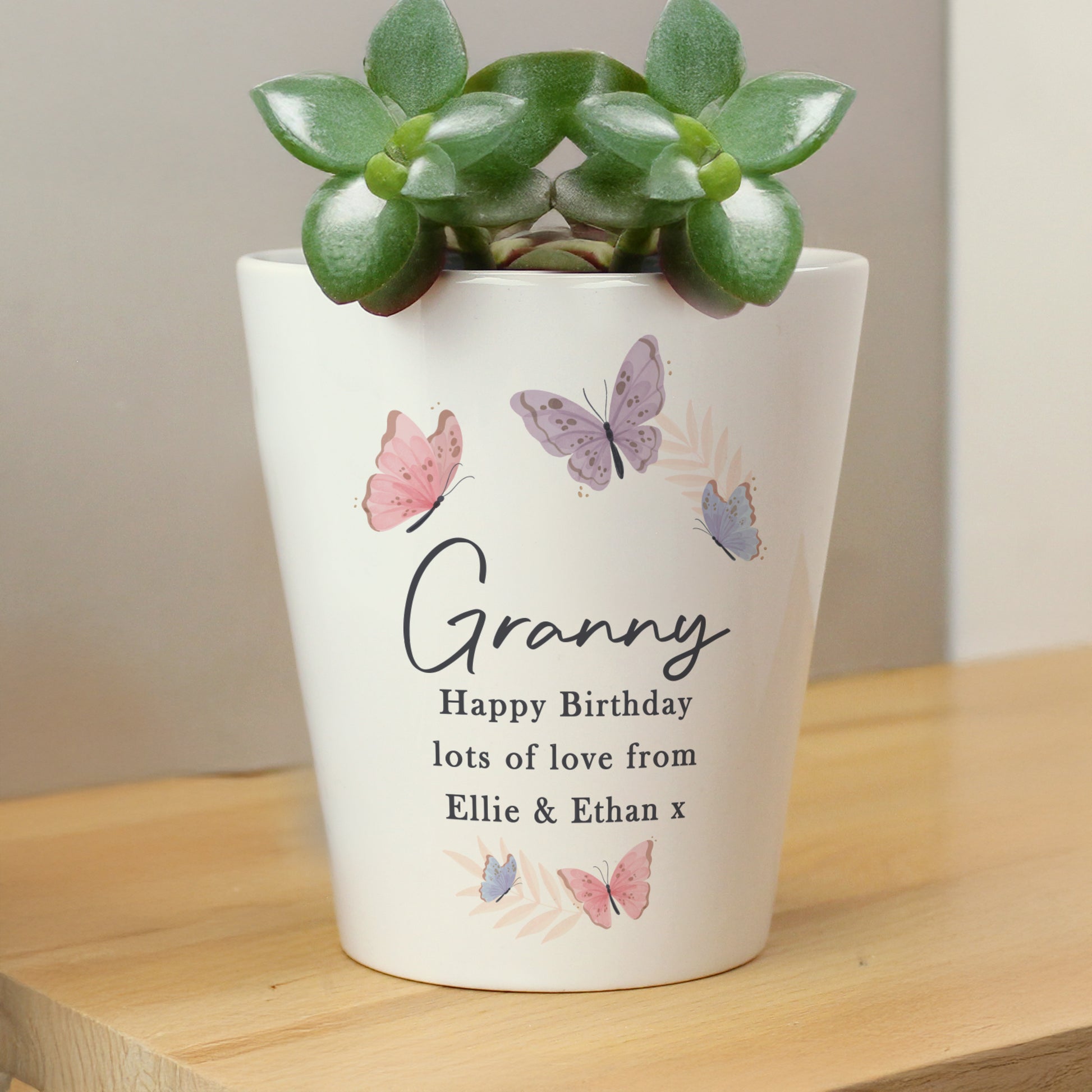 Personalised Butterfly Plant Pot – Birthday Housewarming Gift for Her - image 4