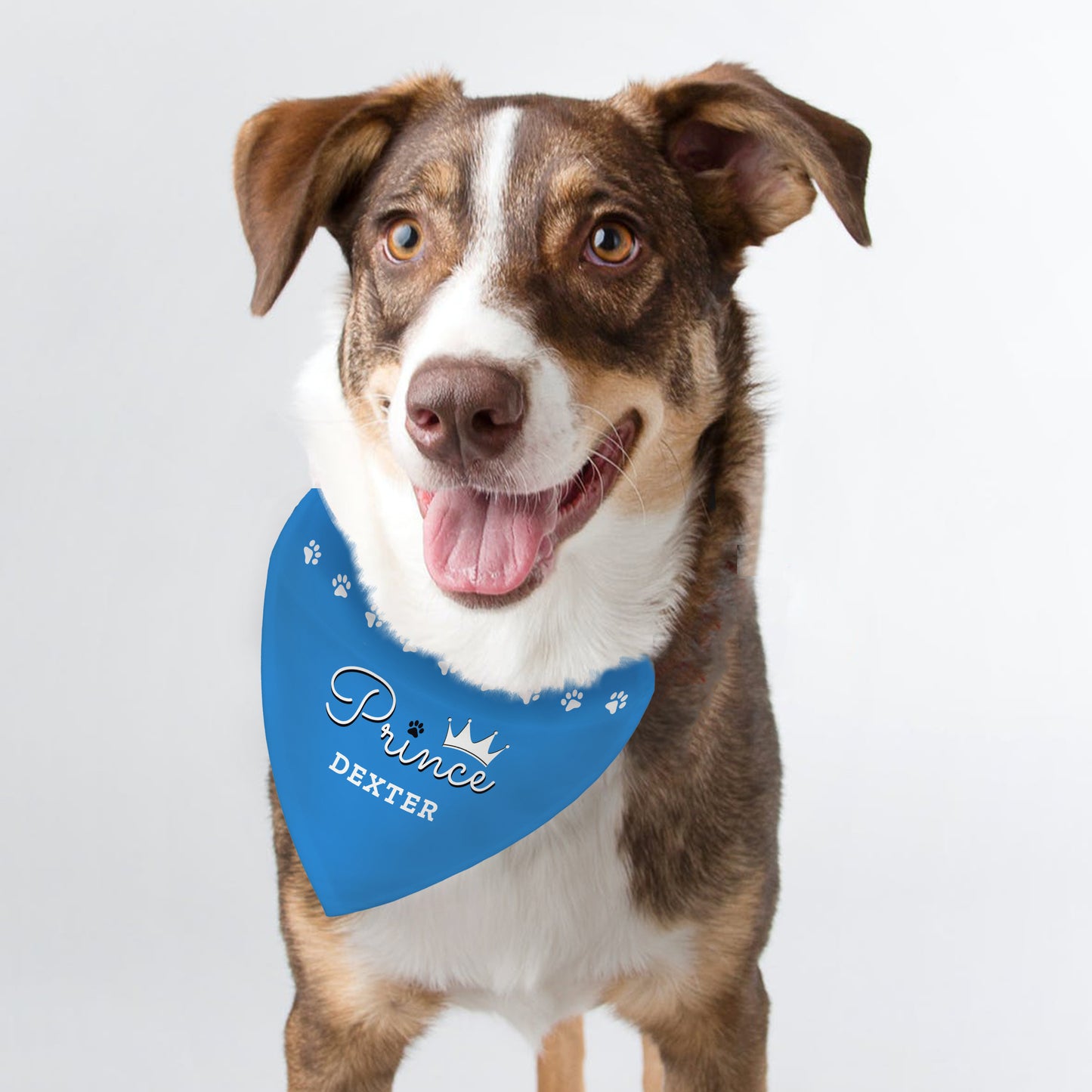 Personalised Prince Dog Bandana - image 3