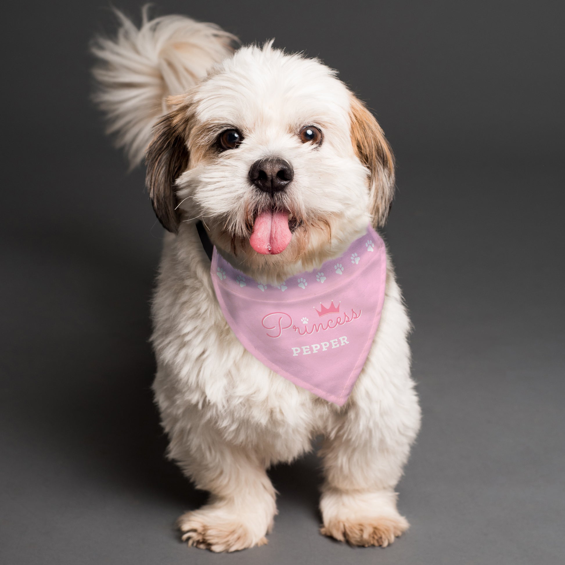 Personalised Princess Dog Bandana - image 4