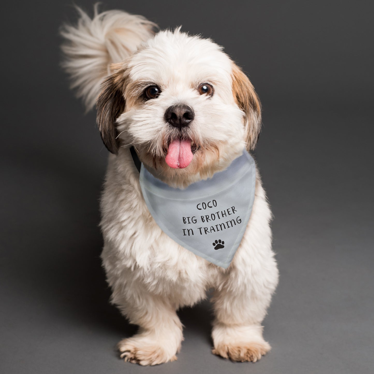 Personalised Dog Bandana from Heartfelt Gifts