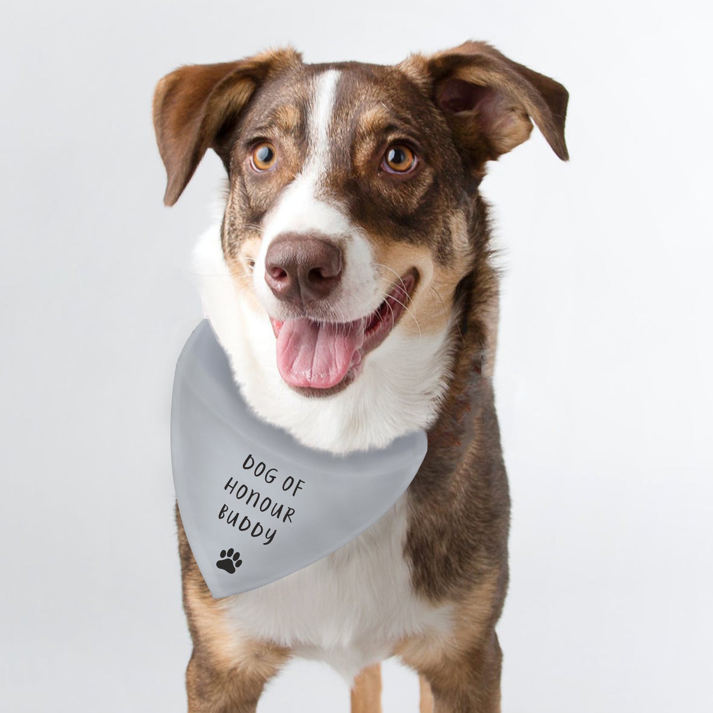 Personalised Dog Bandana - image 3