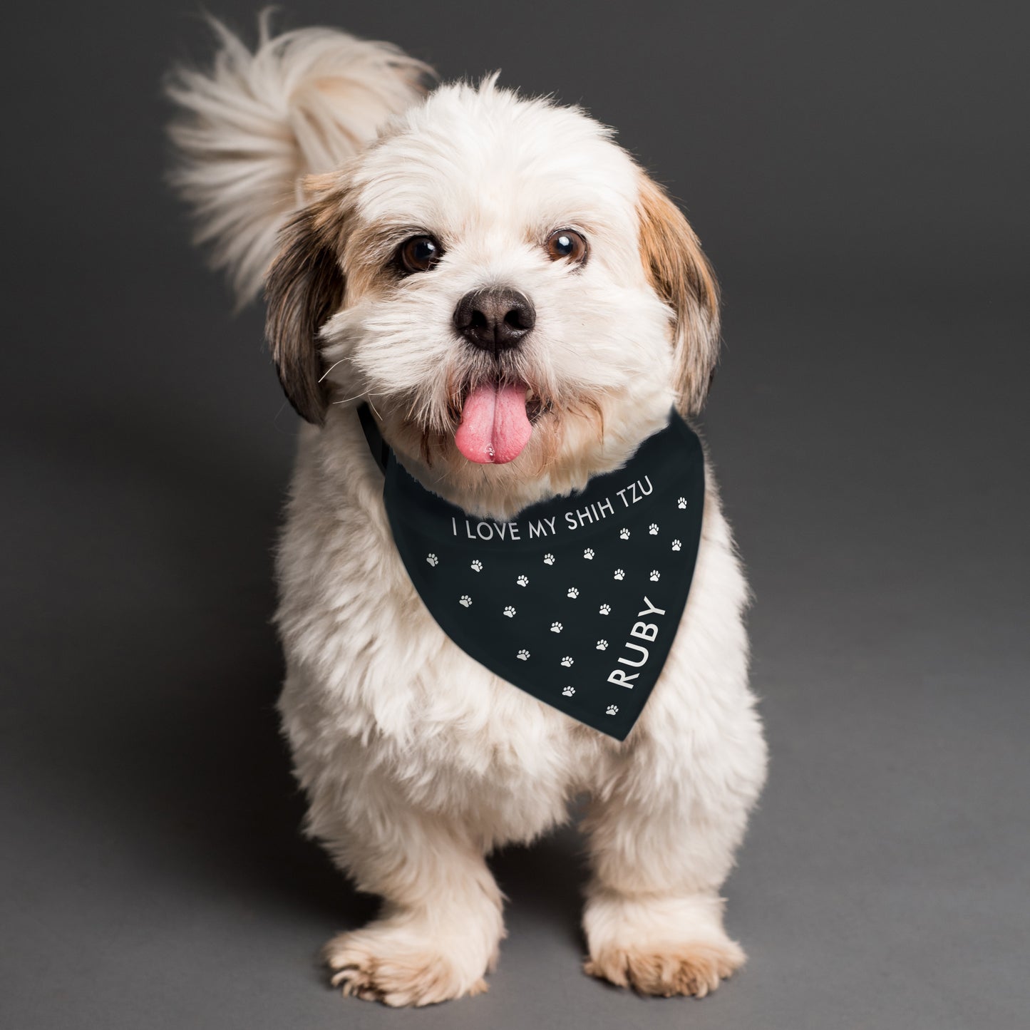 Personalised Paw Print Dog Bandana from Heartfelt Gifts