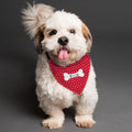 Personalised Red Polka Dot Dog Bandana from Heartfelt Gifts