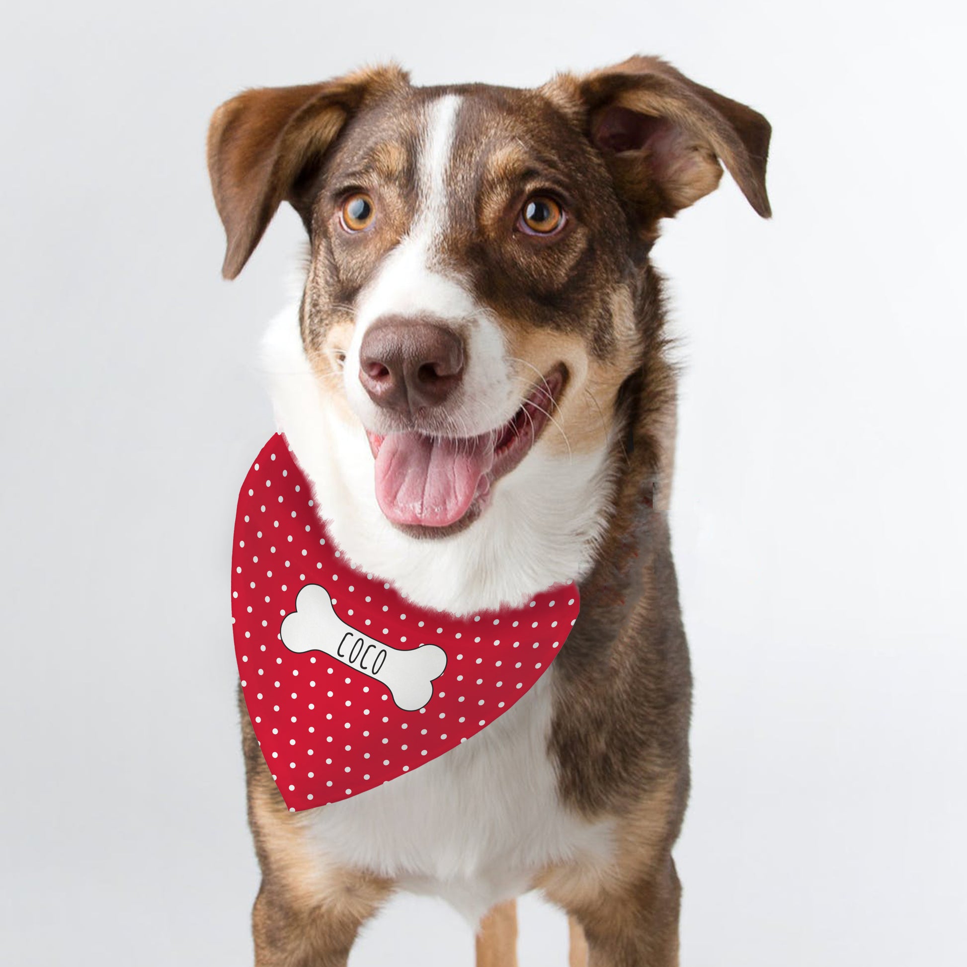 Personalised Red Polka Dot Dog Bandana - image 3