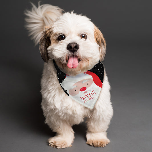 Personalised Santa Dog Bandana from Heartfelt Gifts