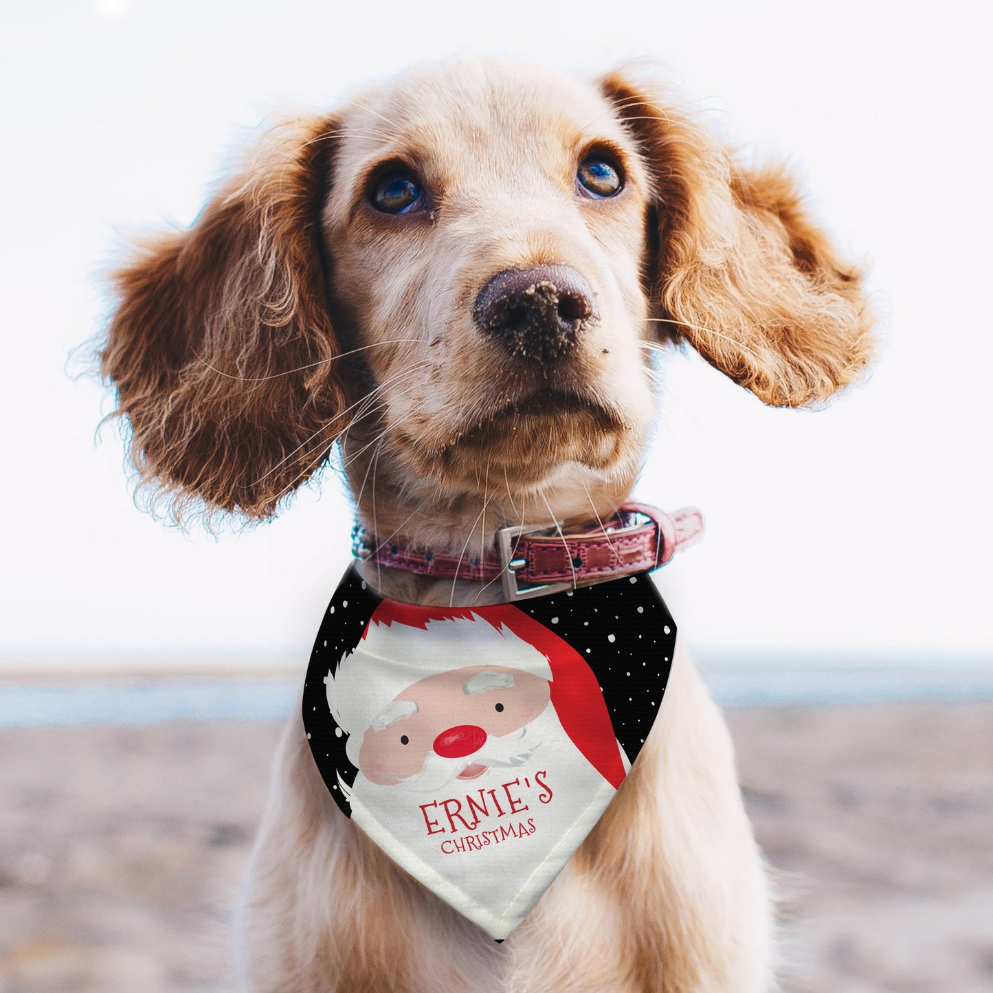 Personalised Santa Dog Bandana - image 3