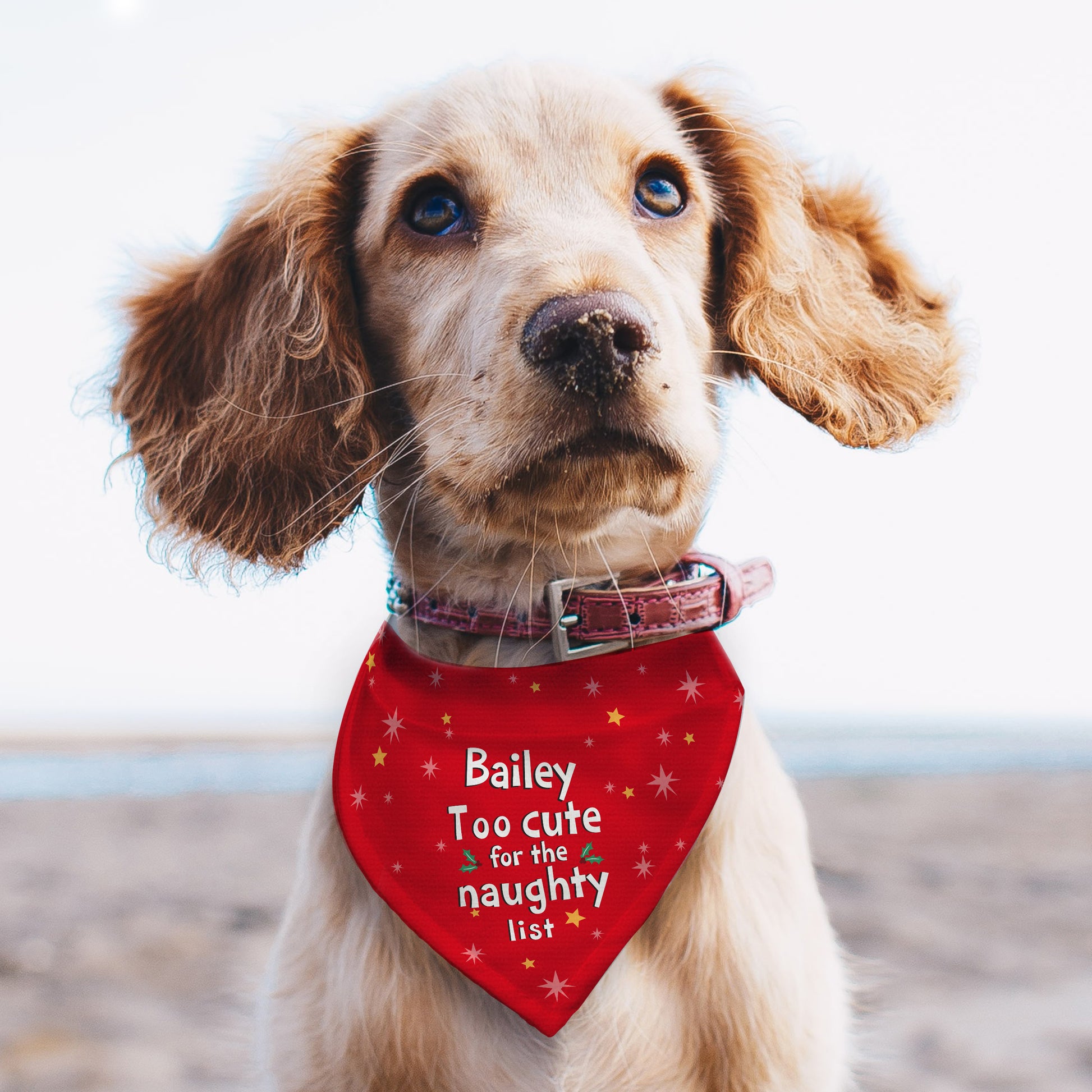Personalised 'Too cute for the naughty list' Dog Bandana - image 3