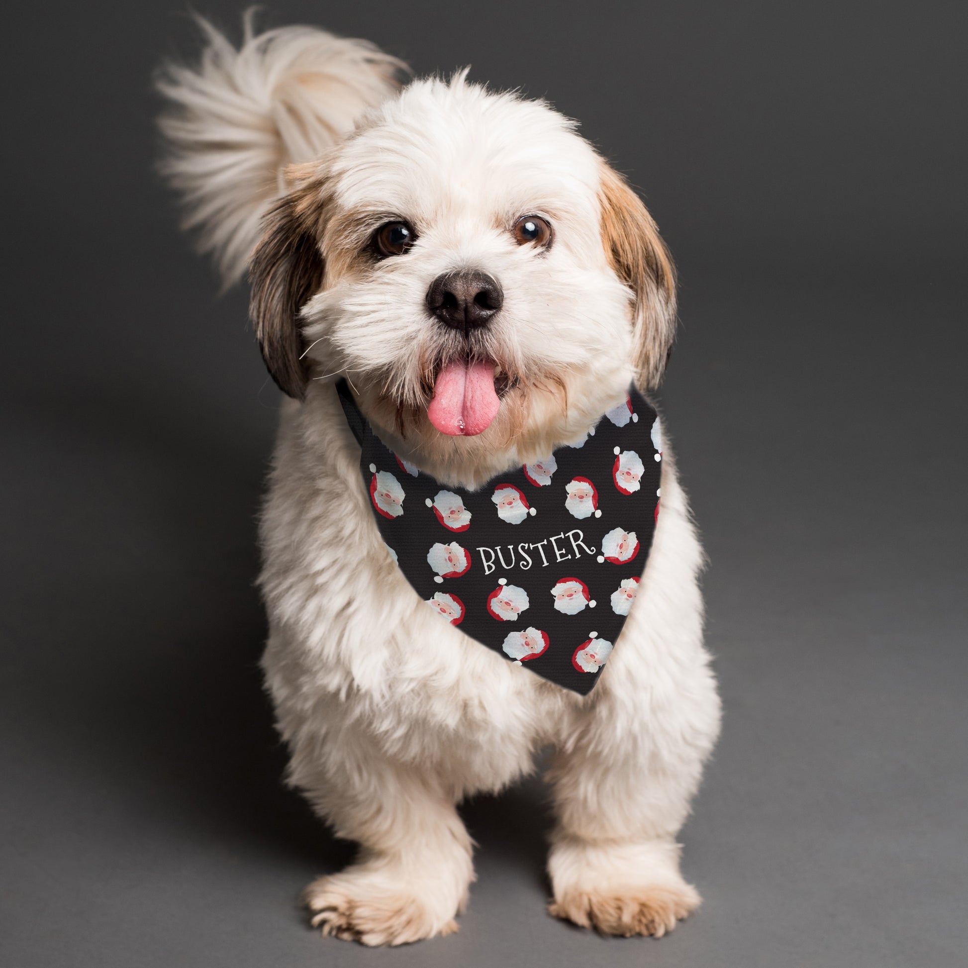 Personalised Santa Black Dog Bandana from Heartfelt Gifts