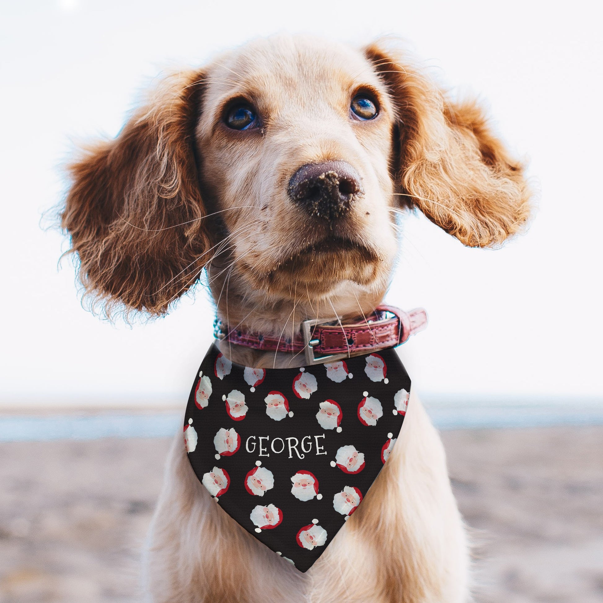Personalised Santa Black Dog Bandana - image 3