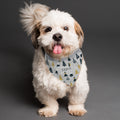 Personalised Christmas Tree Dog Bandana from Heartfelt Gifts