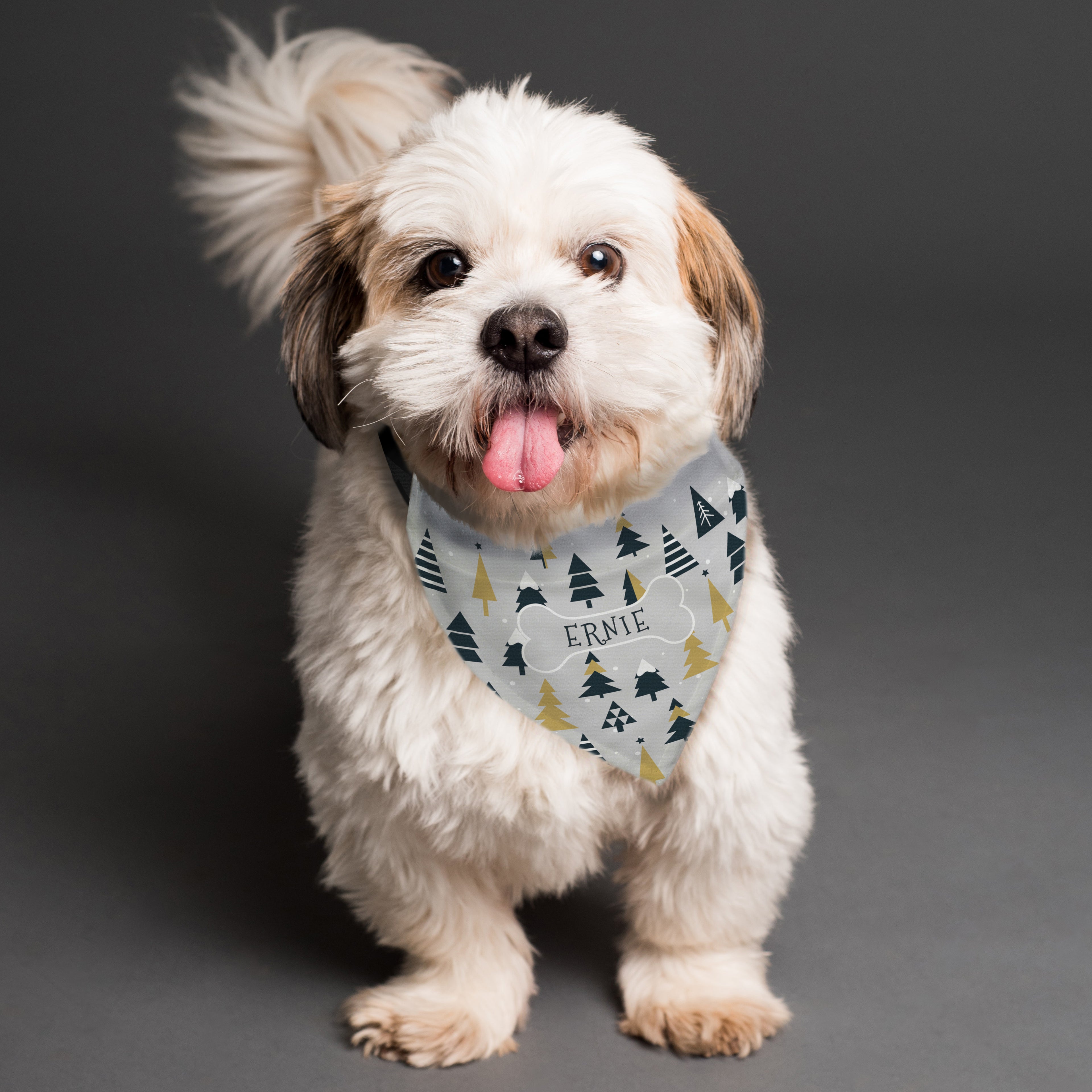 Personalised Christmas Tree Dog Bandana from Heartfelt Gifts