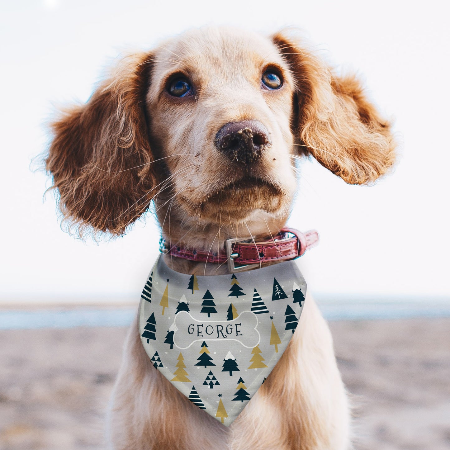 Personalised Christmas Tree Dog Bandana - image 3