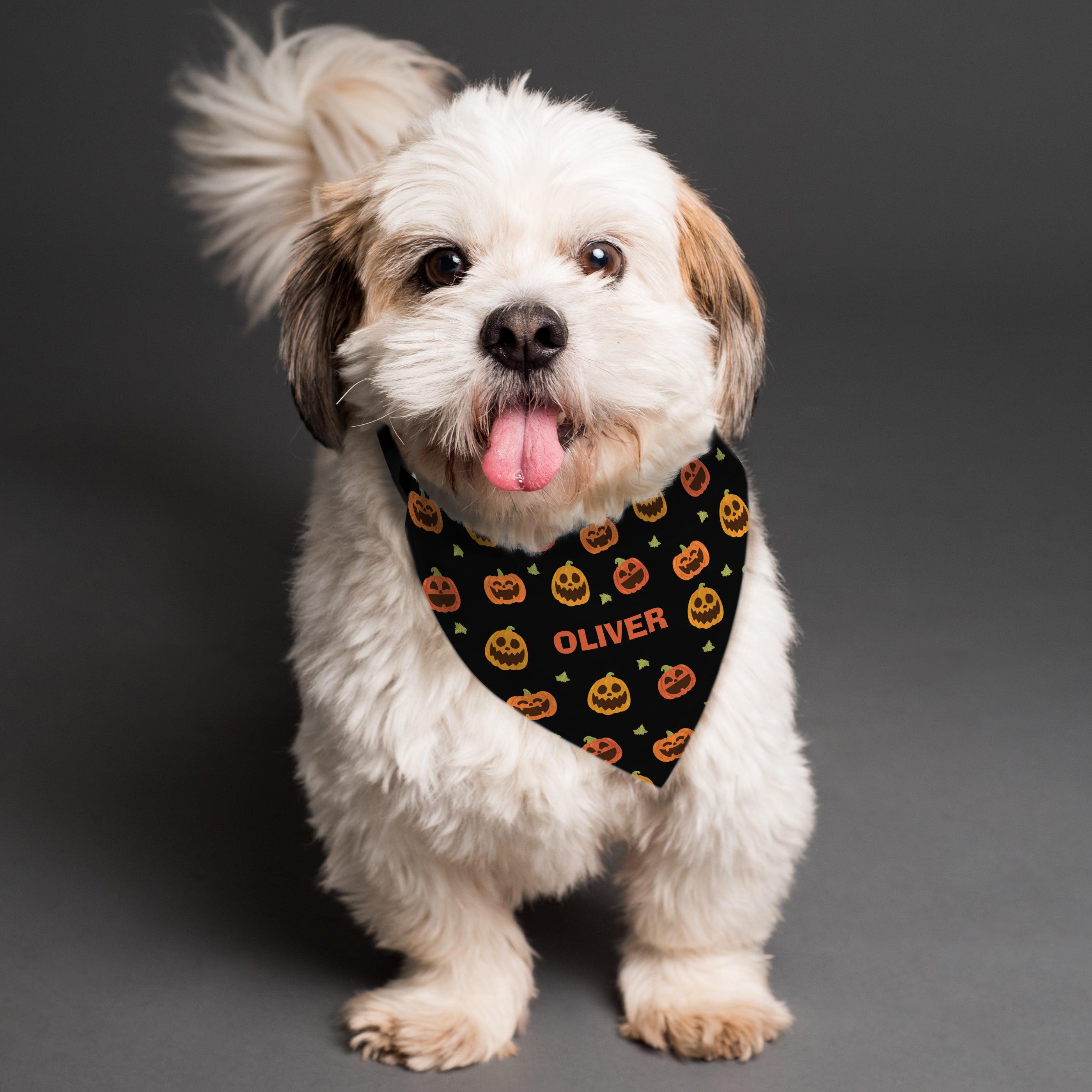 Personalised Pumpkin Patch Dog Bandana from Heartfelt Gifts